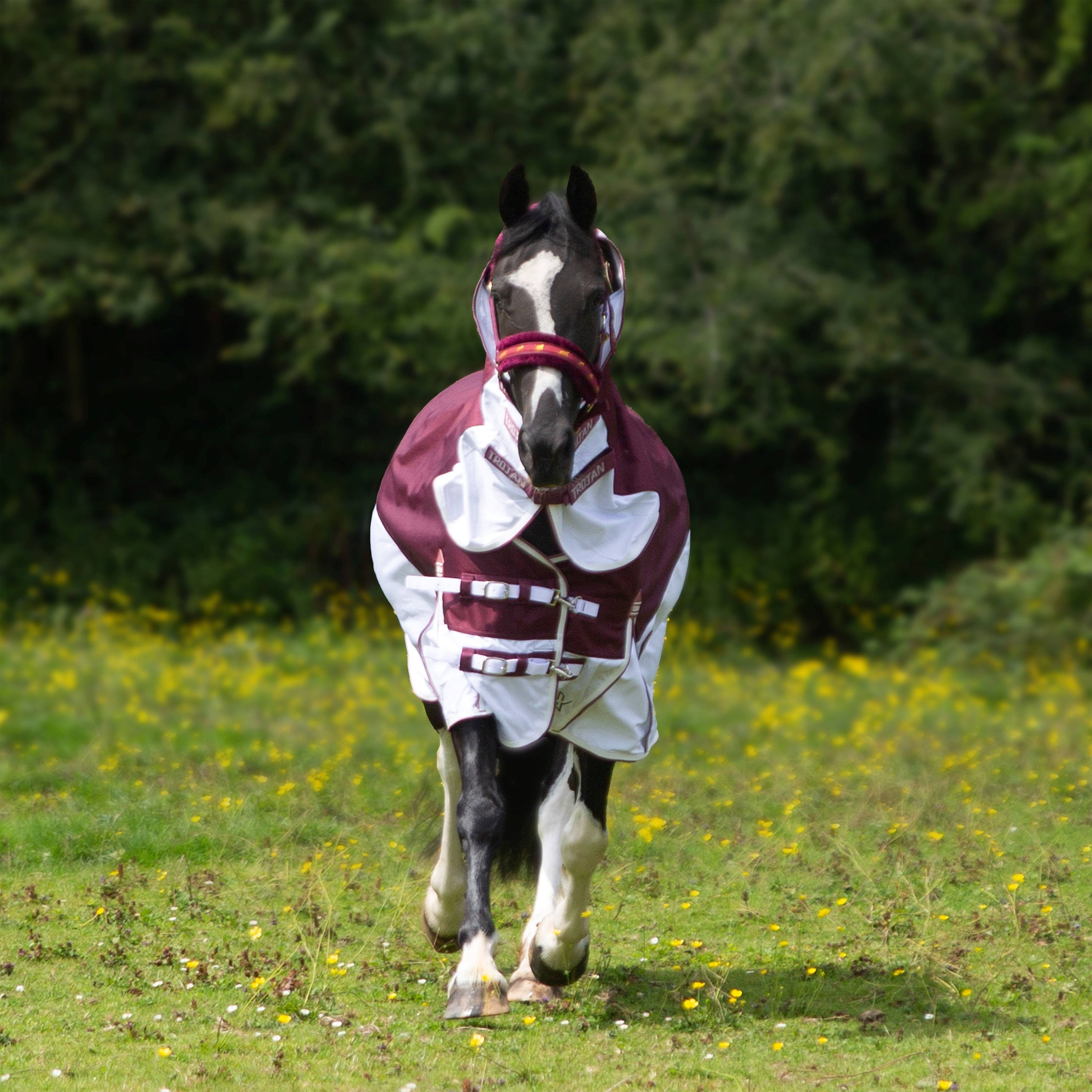 Gallop TROJAN Xtra Turnout Fly Rug, 1200 Denier, UV Protect, Fixed Neck Combo