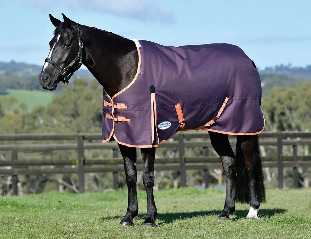Weatherbeeta Comfitec Essential 220g Turnout Rug 1200DenierStd Neck Mediumweight