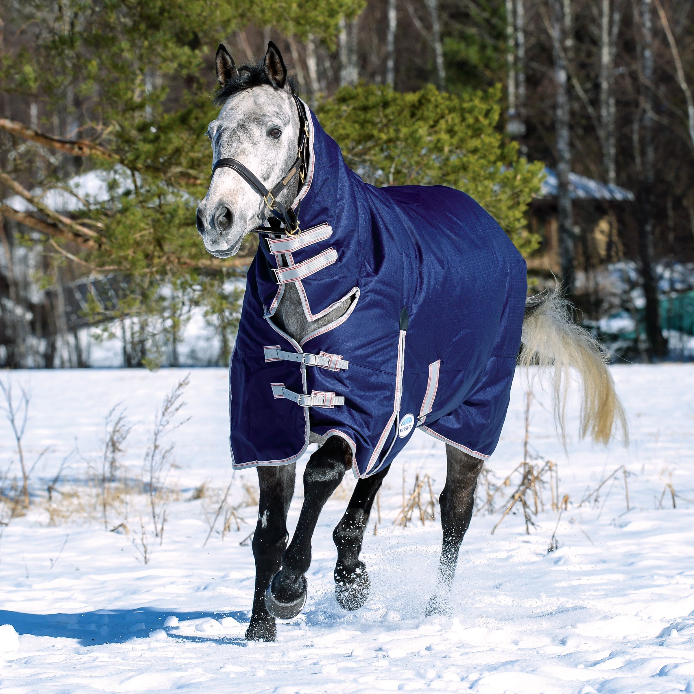 Weatherbeeta Comfitec Essential Turnout Rug 360g 1200D Heavy Fixed Neck Combo