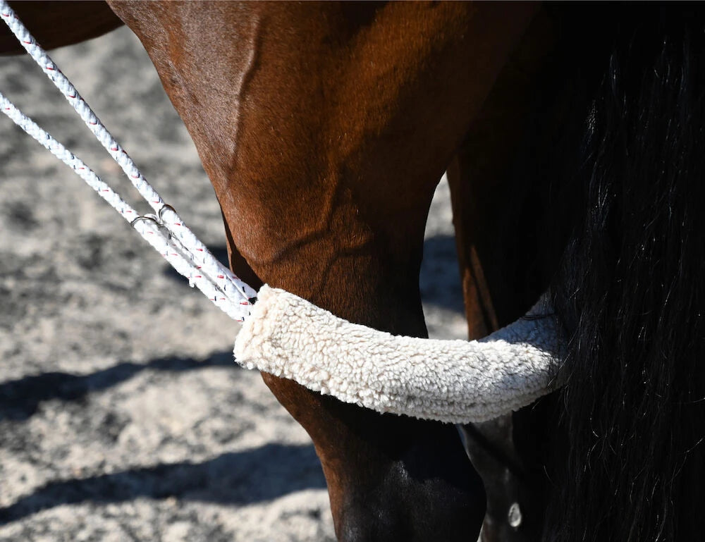 Weatherbeeta Kincade Horse Lunging Training System