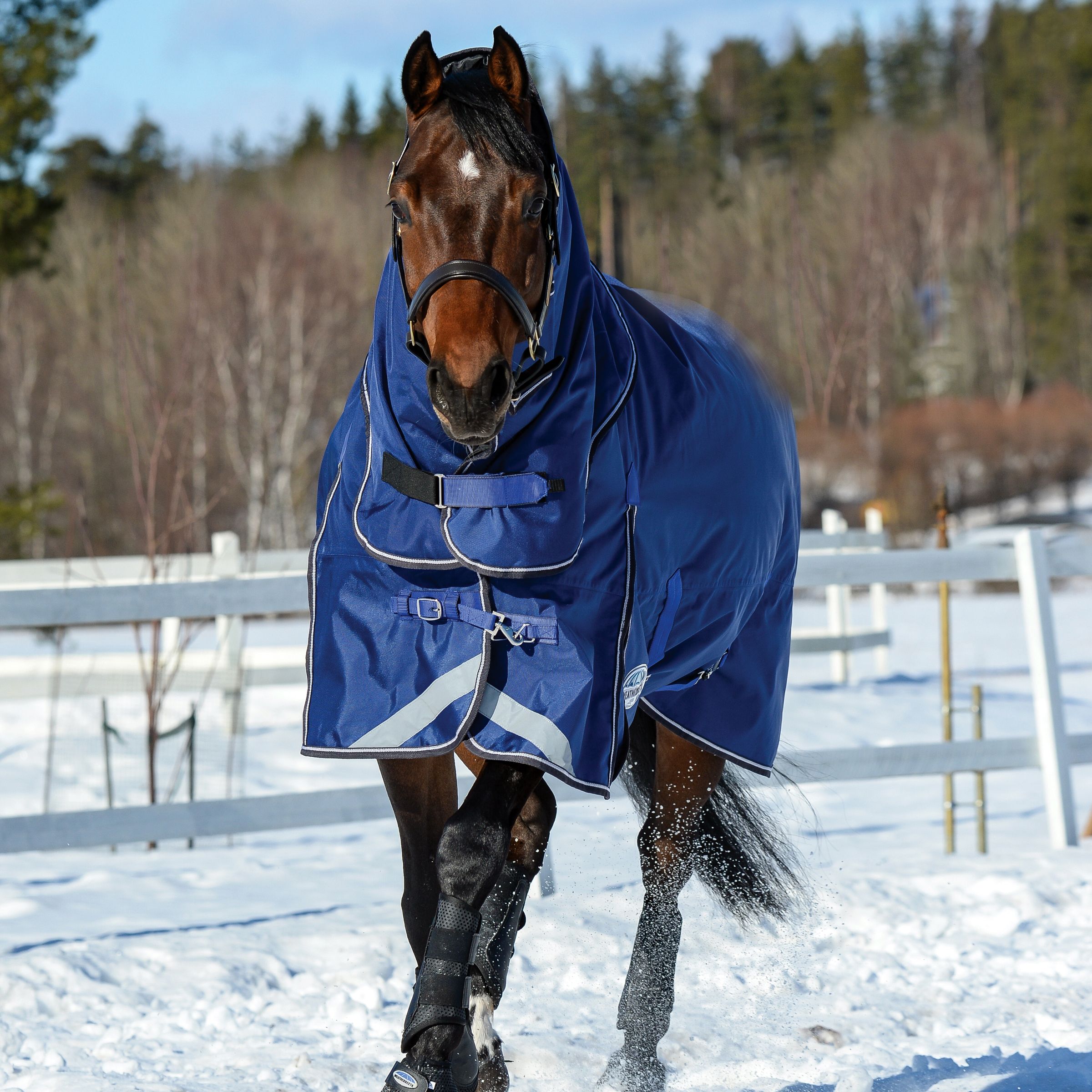 Weatherbeeta Comfitec Ultra Tough II Turnout Rug, 220g, 1680 Den, Detach-A-Neck