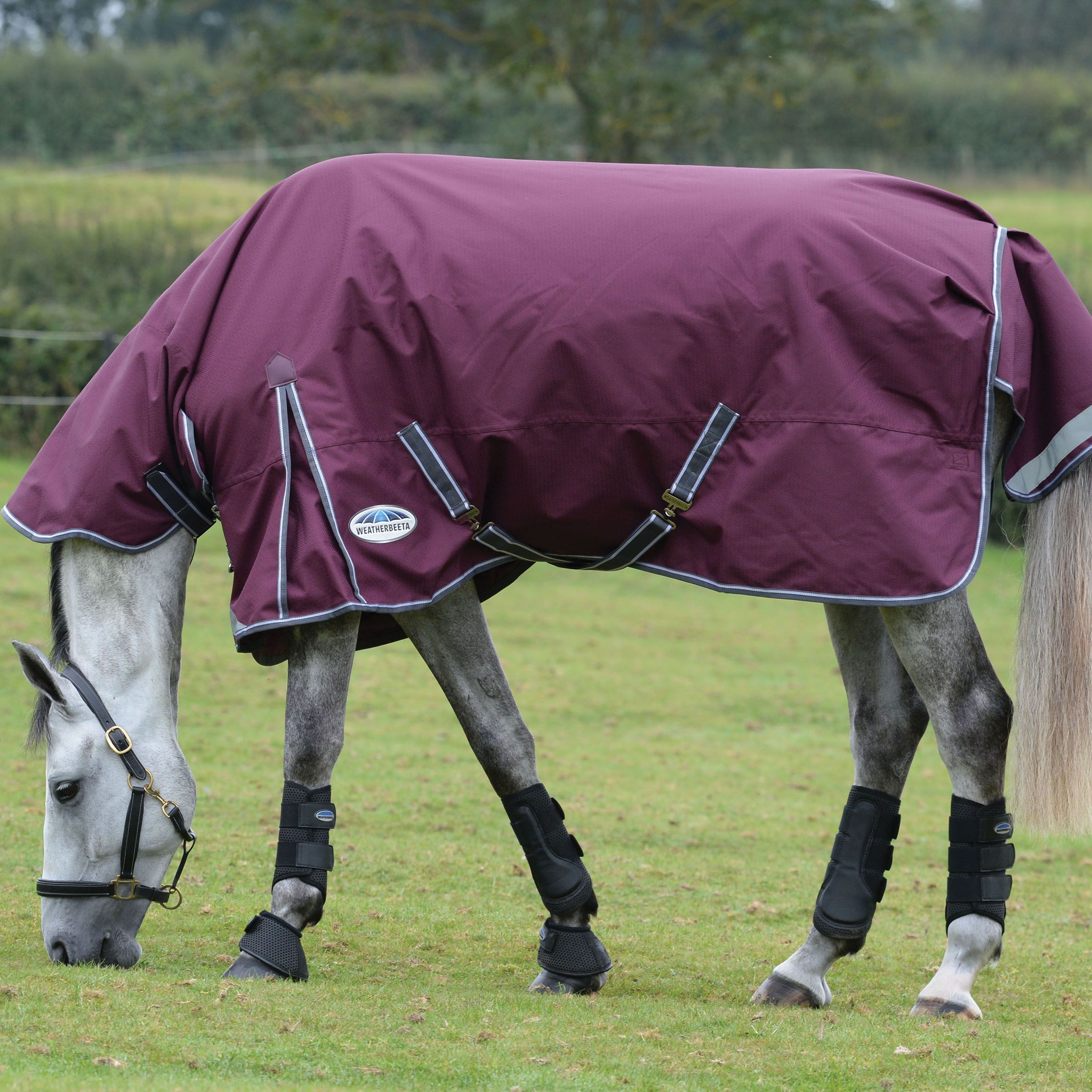 Weatherbeeta Comfitec Plus Dynamic II Turnout Rug 100g 1200D Fixed Neck Combo