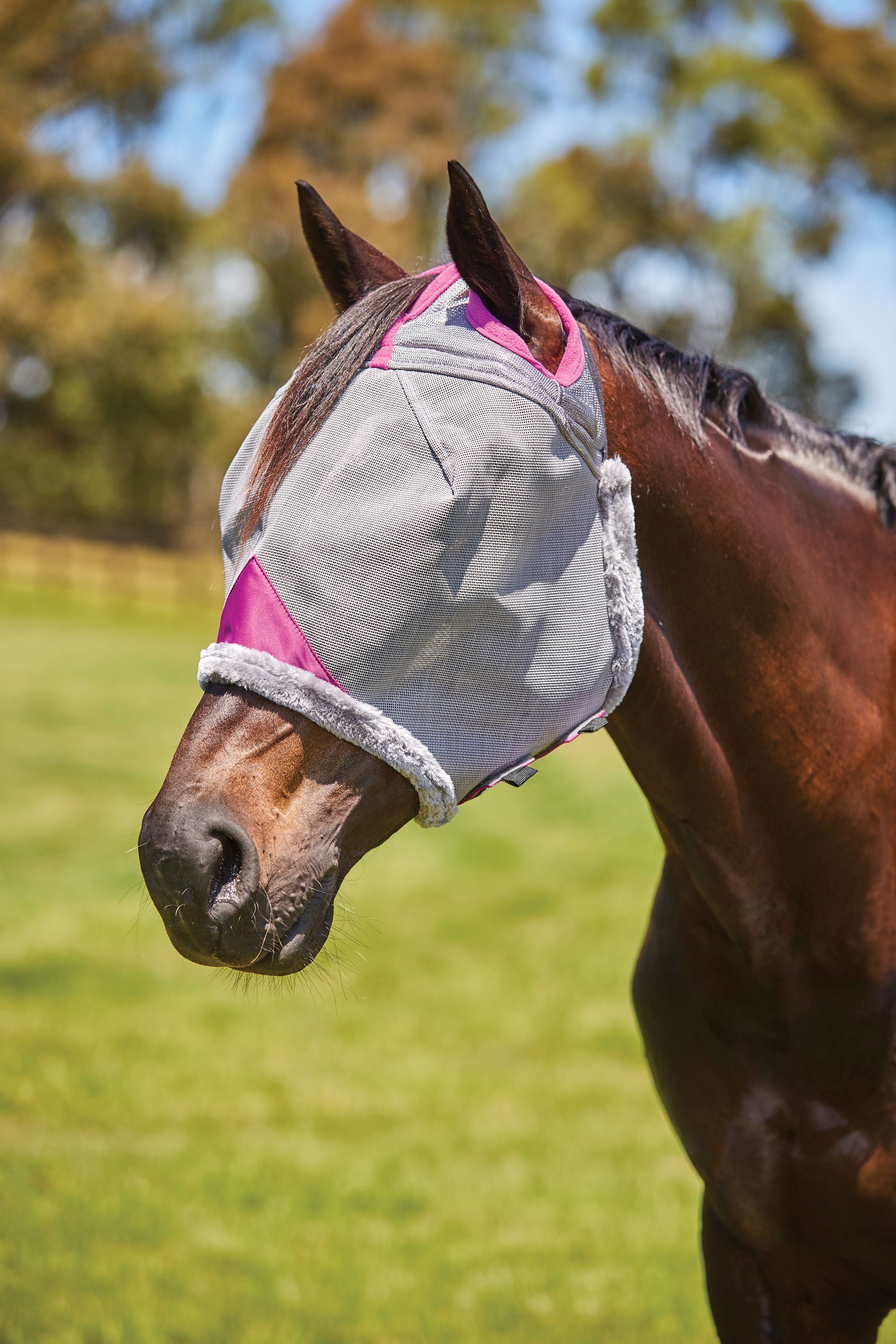 WeatherBeeta ComFiTec Deluxe Durable Mesh Fly Mask, No Ears, UV Protect