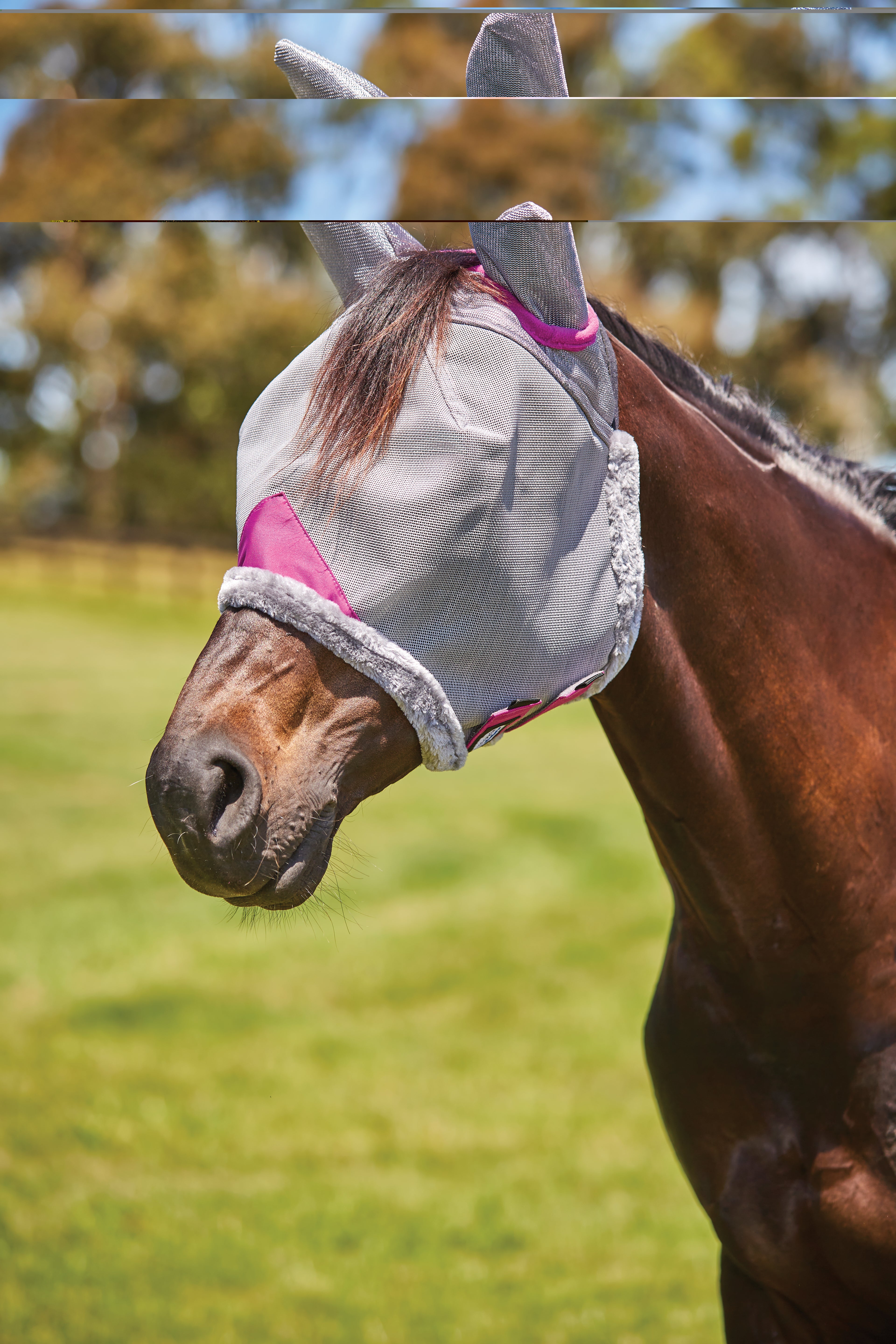 WeatherBeeta ComFiTec Deluxe Durable Mesh Fly Mask with Ears, UV Protect