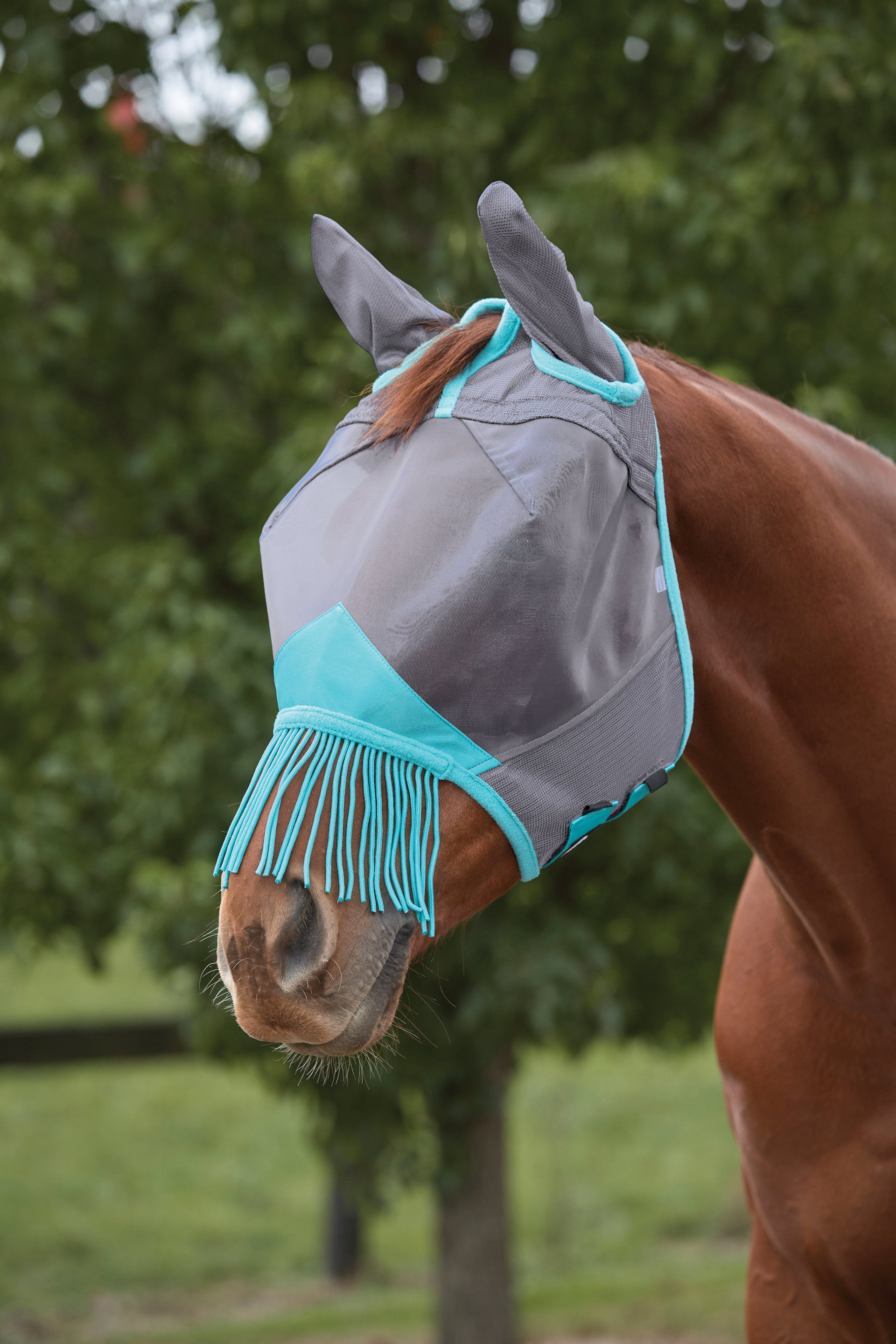 WeatherBeeta ComFiTec Deluxe Fine Mesh Fly Mask with Ears & Tassels, UV Protect