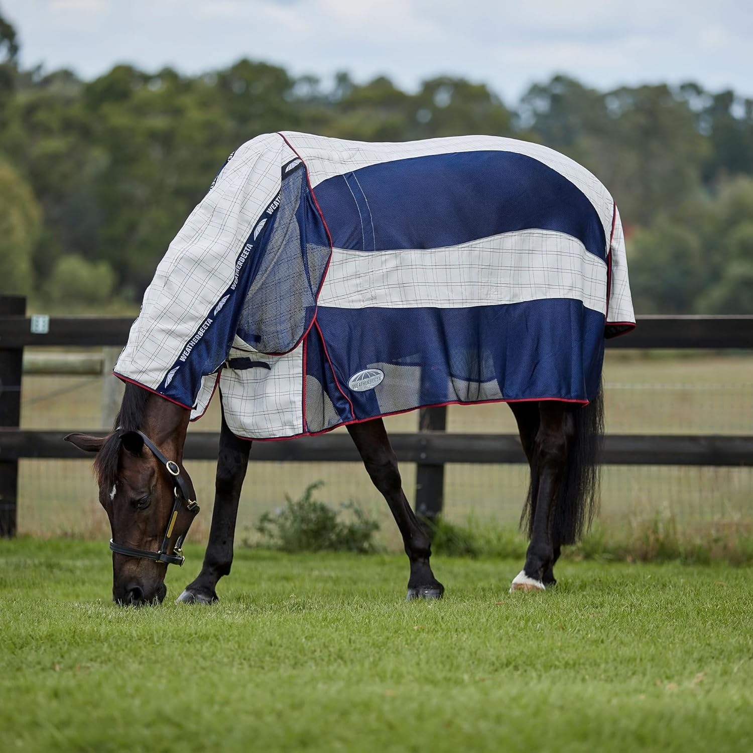 WeatherBeeta Breeze with Surcingle IV Fly Rug, Combo Full NeckHorse Rug/Sheet,
