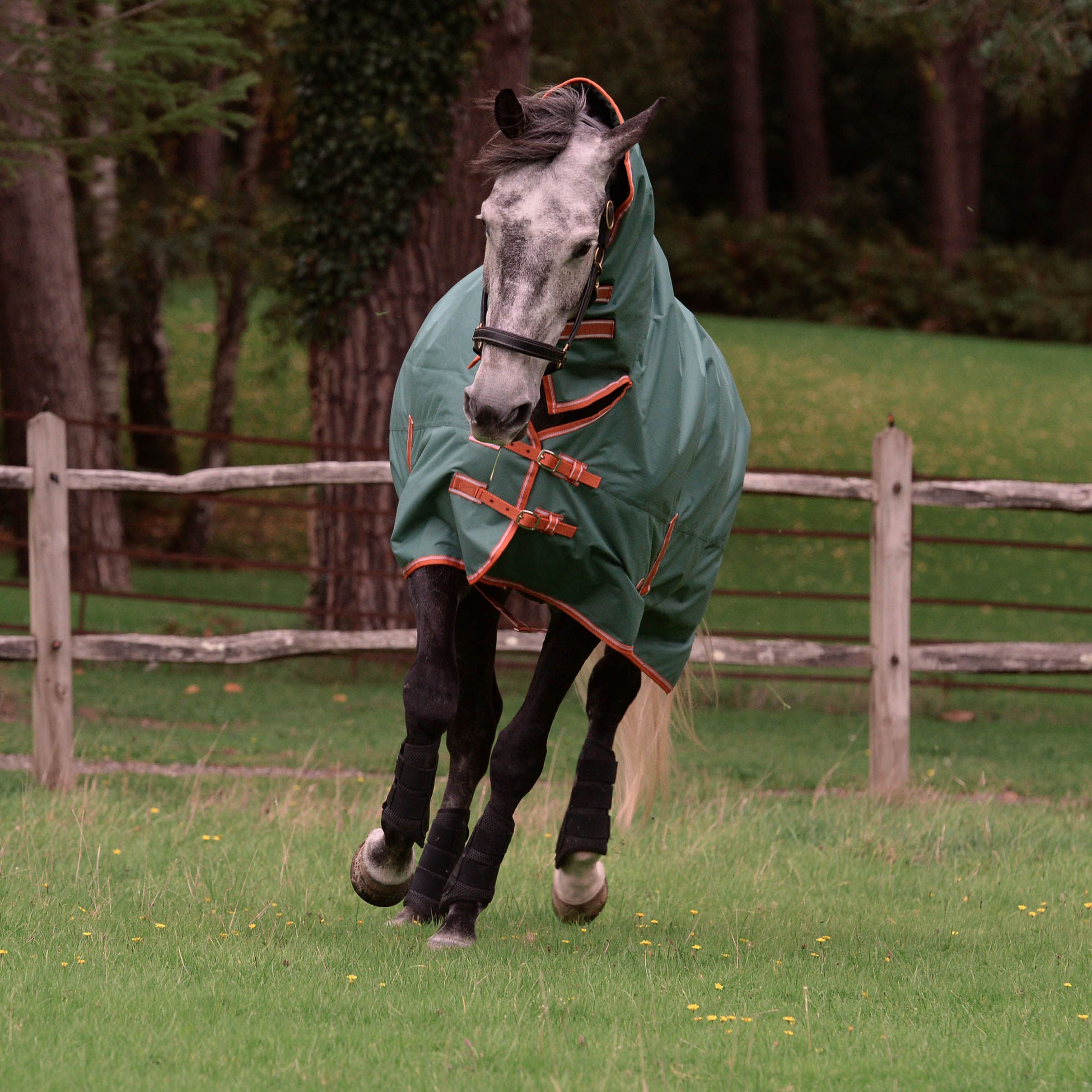 Weatherbeeta Comfitec Combo Turnout Rug, Tyro Full Neck, Lite Plus, 50g,