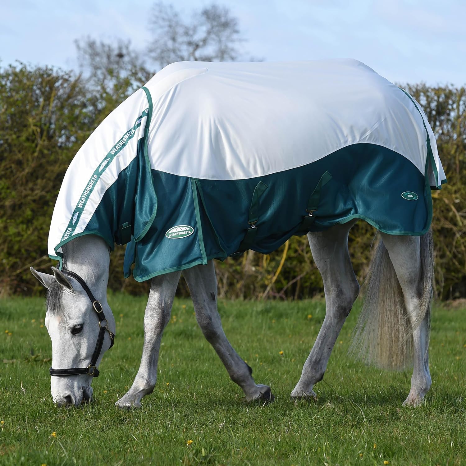 WeatherBeeta Green-Tec Airflow Mesh Fly Rug Combo Neck, White/Dragonfly Blue