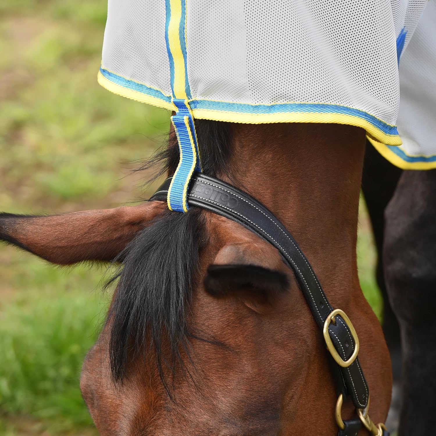 WeatherBeeta ComFiTec Zephyr Plus Mesh Fly Horse Rug,  Full Neck, Belly Band