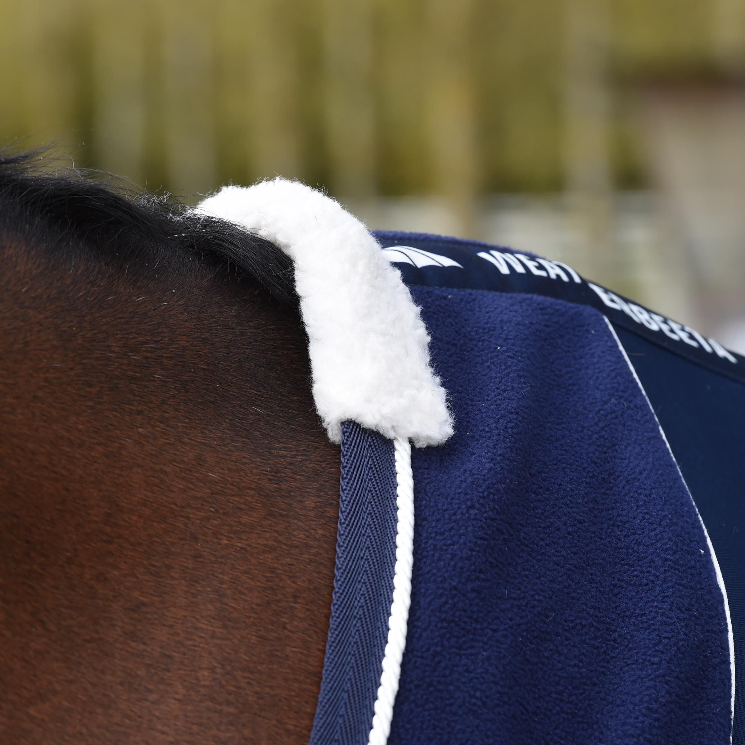 Weatherbeeta Opulence Show Sheet / Travel Rug, Std Neck.