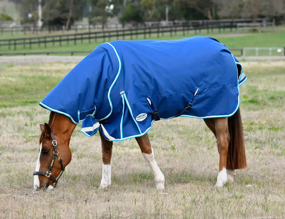 Weatherbeeta Comfitec Ultra Hardi 100g Horse Rug Detach-A-Neck Med/Lite, 1800D