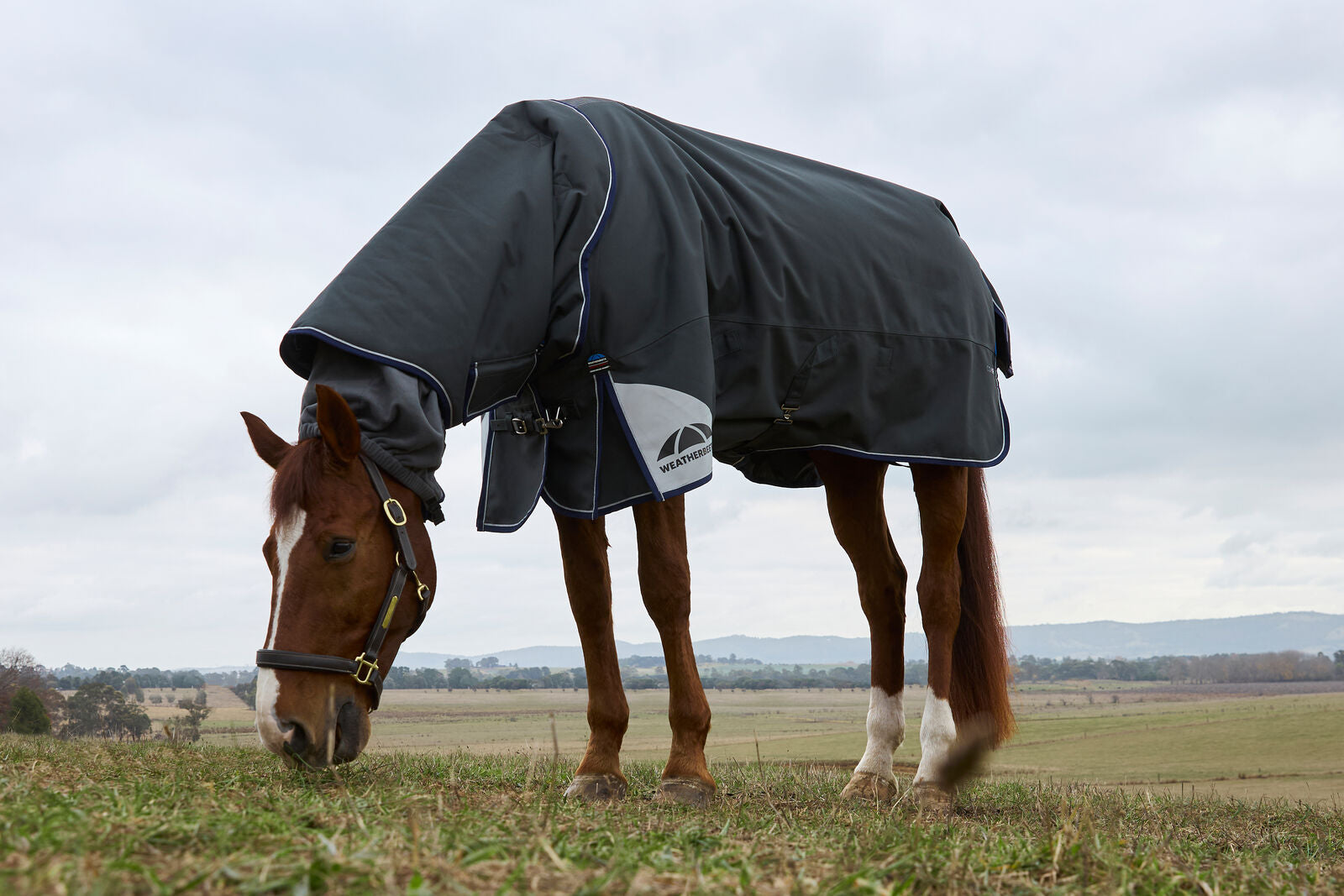 WEATHERBEETA COMFITEC ULTRA 100G TURNOUT RUG, DETACH-A-NECK, LIGHTWEIGHT