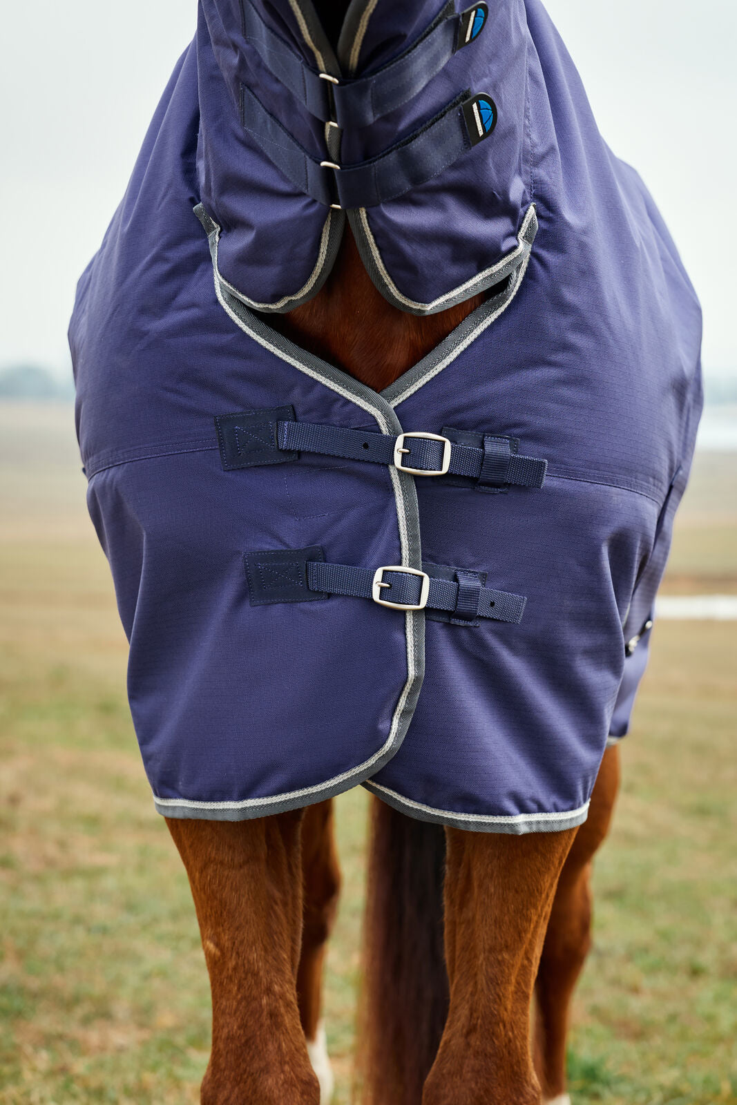 WEATHERBEETA COMFITEC TYRO 50G HORSE TURNOUT RUG, FULL NECK COMBO, LIGHTWEIGHT