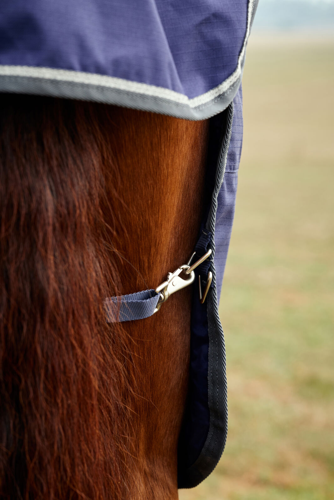 WEATHERBEETA COMFITEC TYRO 50G HORSE TURNOUT RUG, FULL NECK COMBO, LIGHTWEIGHT
