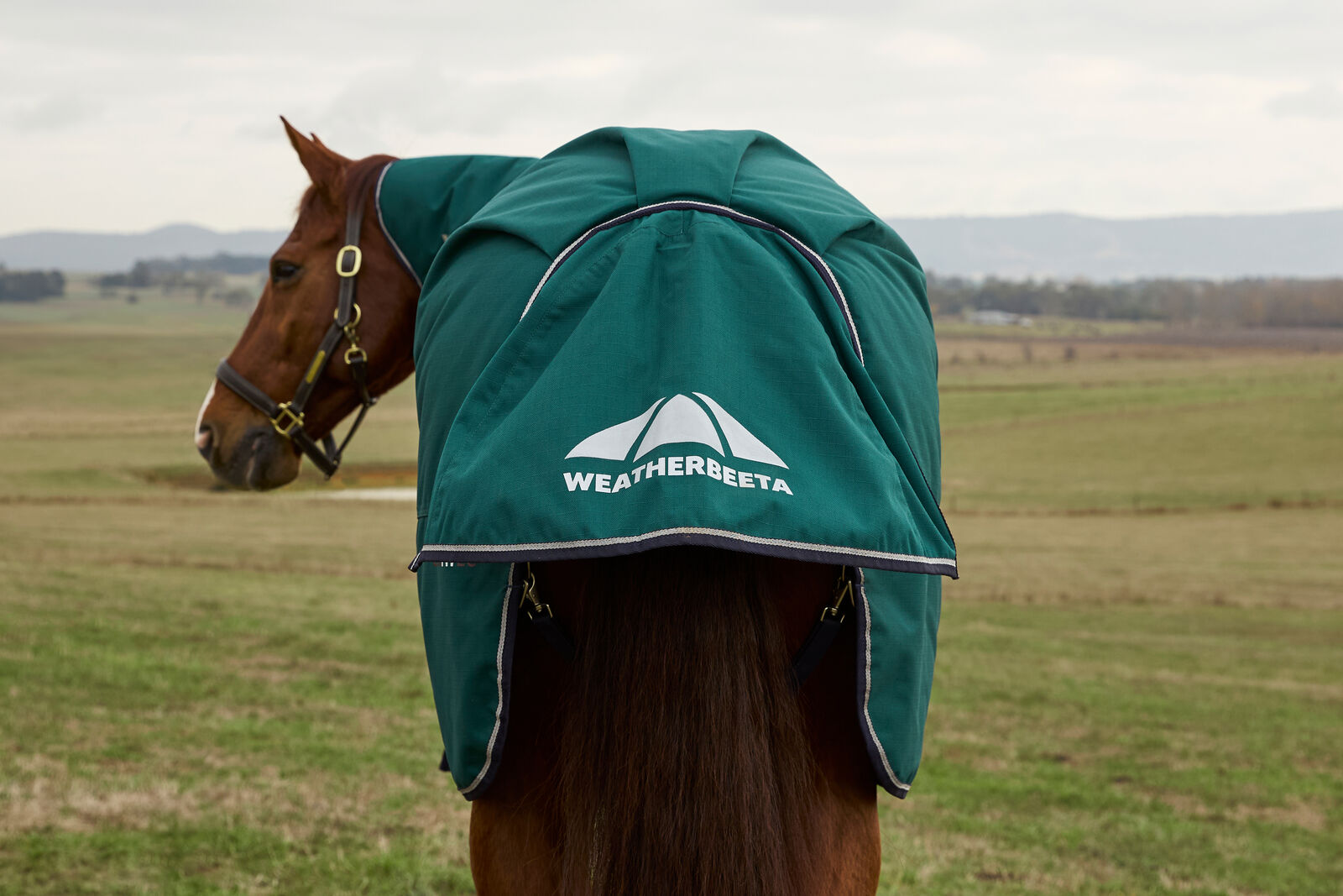 WEATHERBEETA COMFITEC PLUS DYNAMIC HORSE TURNOUT RUG, DETACH-A-NECK,  220G