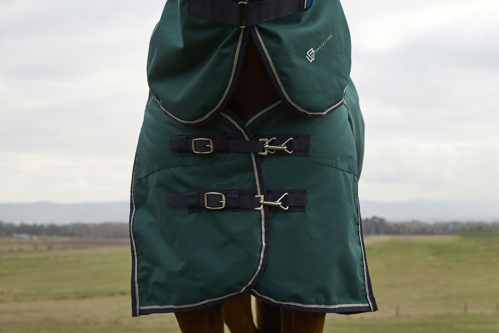 WEATHERBEETA COMFITEC PLUS DYNAMIC 100G HORSE TURNOUT RUG,  DETACH-A-NECK