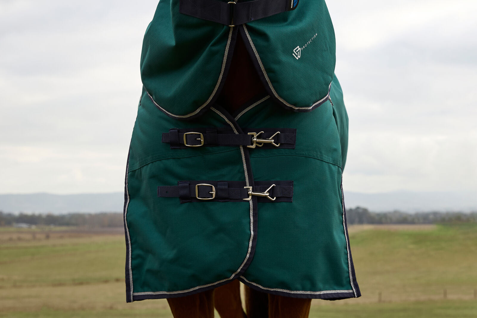 WEATHERBEETA COMFITEC PLUS DYNAMIC 0G HORSE TURNOUT RUG, DETACH-A-NECK, LIGHT