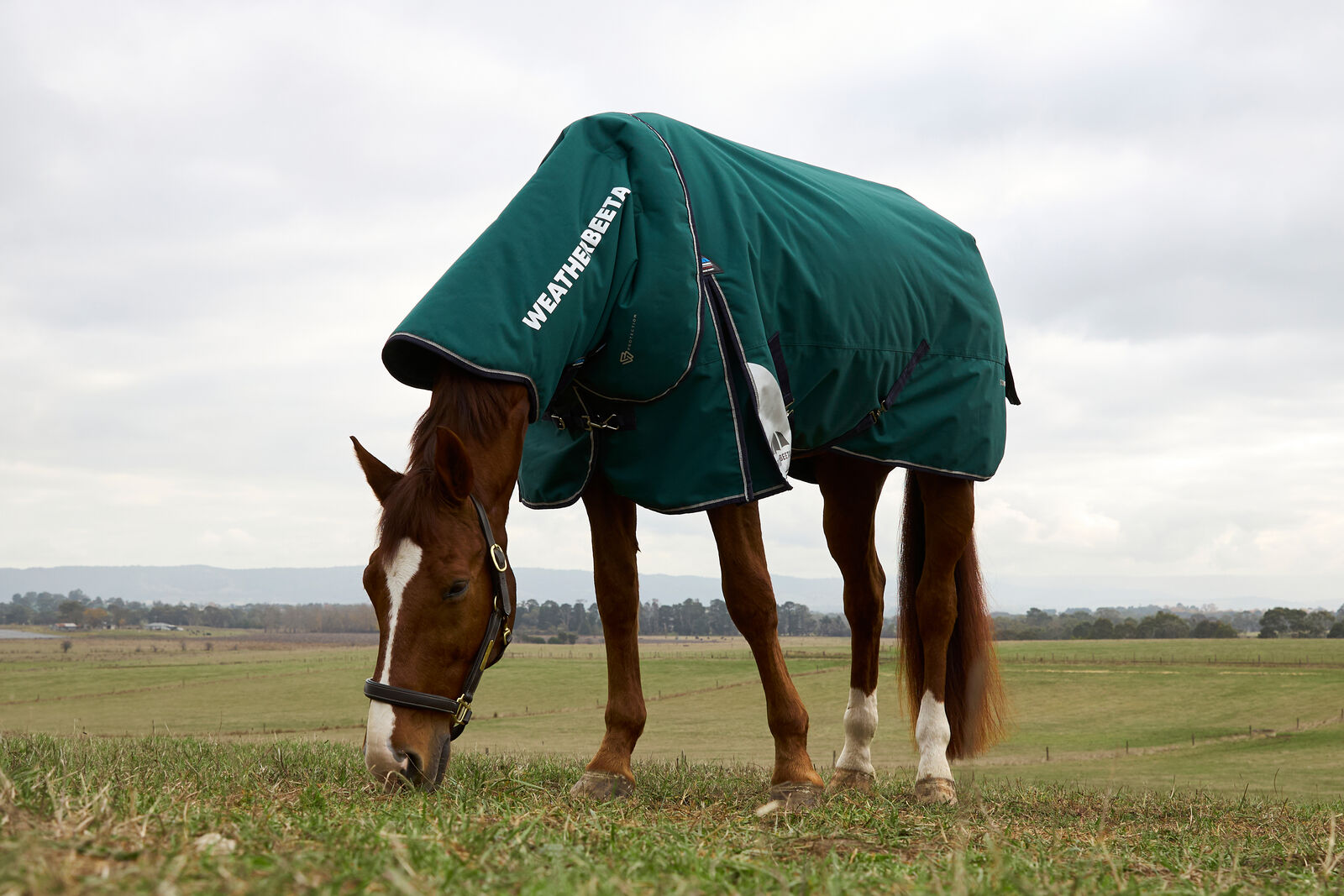 WEATHERBEETA COMFITEC PLUS DYNAMIC 0G HORSE TURNOUT RUG, DETACH-A-NECK, LIGHT