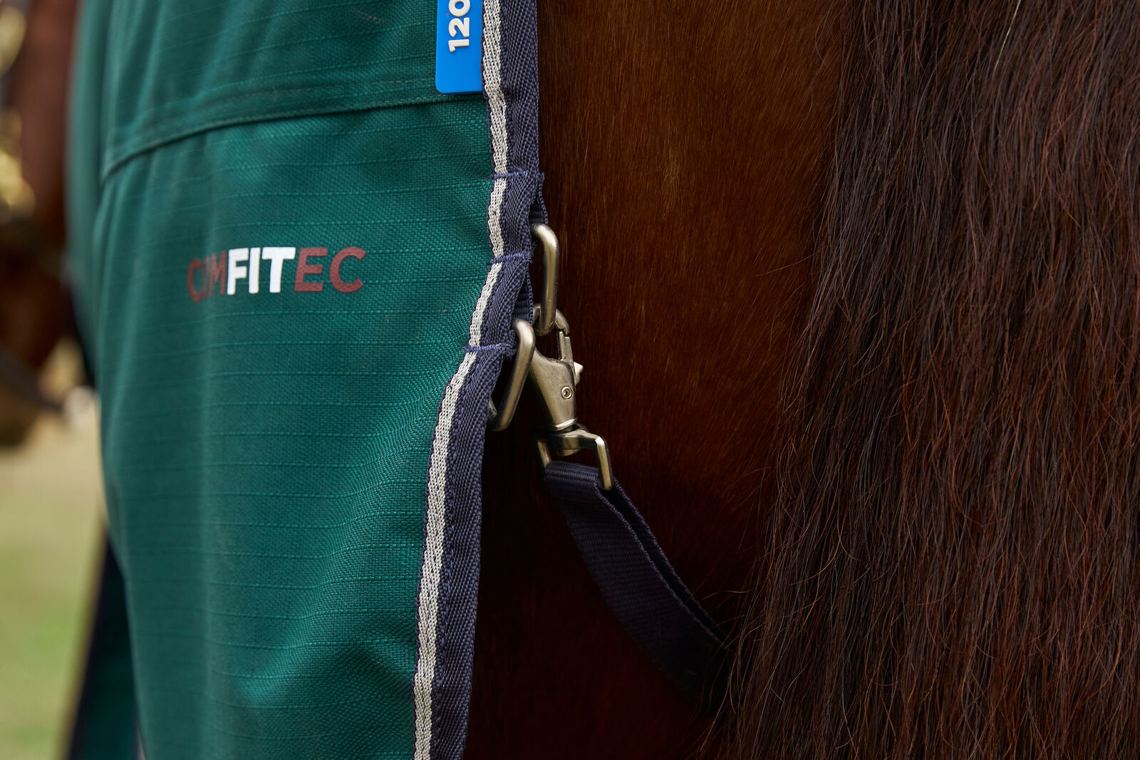 WEATHERBEETA COMFITEC PLUS DYNAMIC 0G HORSE TURNOUT RUG, DETACH-A-NECK, LIGHT