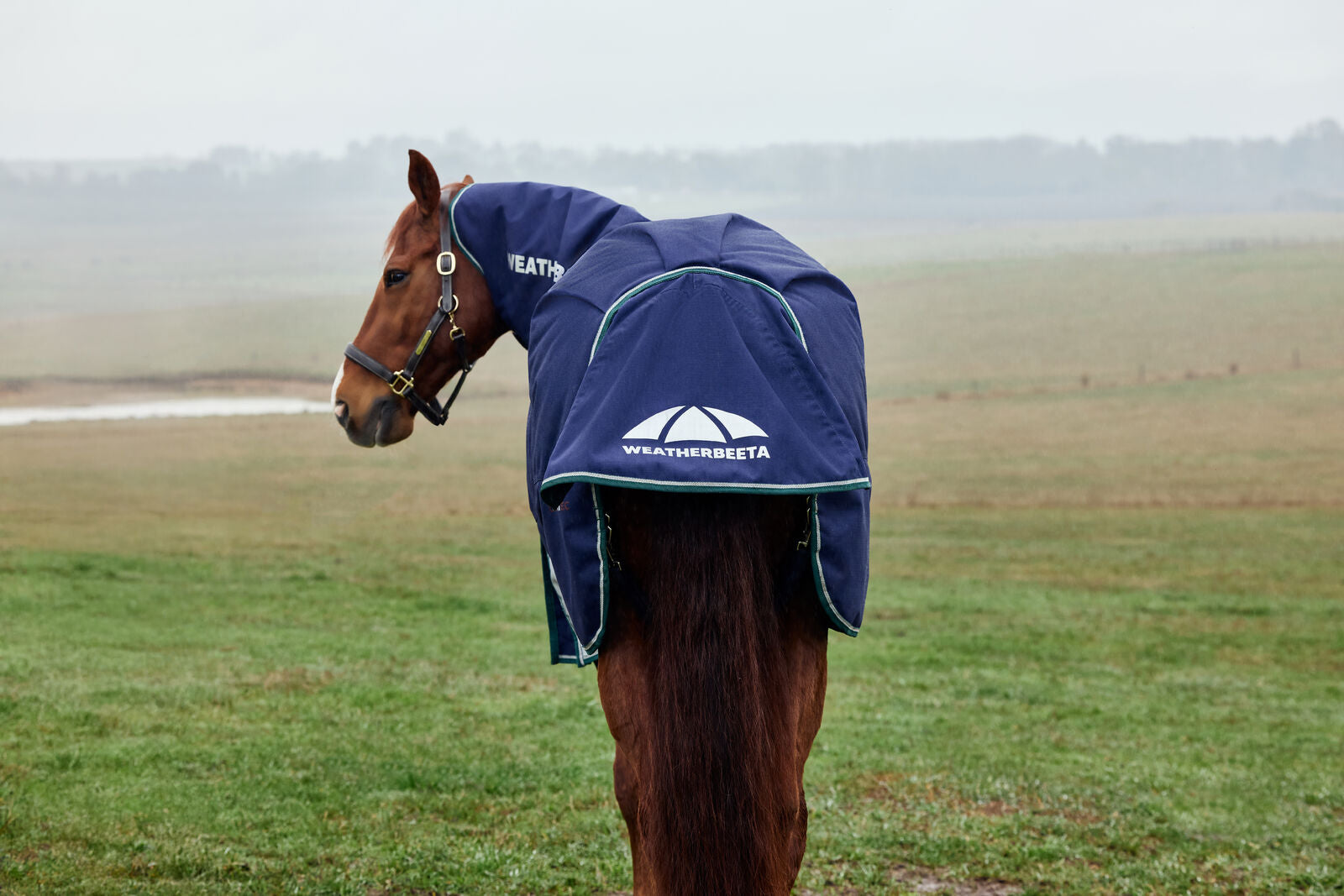WEATHERBEETA COMFITEC PLUS DYNAMIC 0G HORSE TURNOUT RUG, DETACH-A-NECK, LIGHT