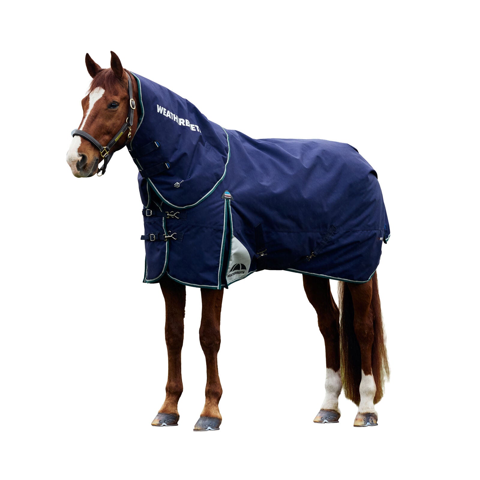 WEATHERBEETA COMFITEC PLUS DYNAMIC 0G HORSE TURNOUT RUG, DETACH-A-NECK, LIGHT