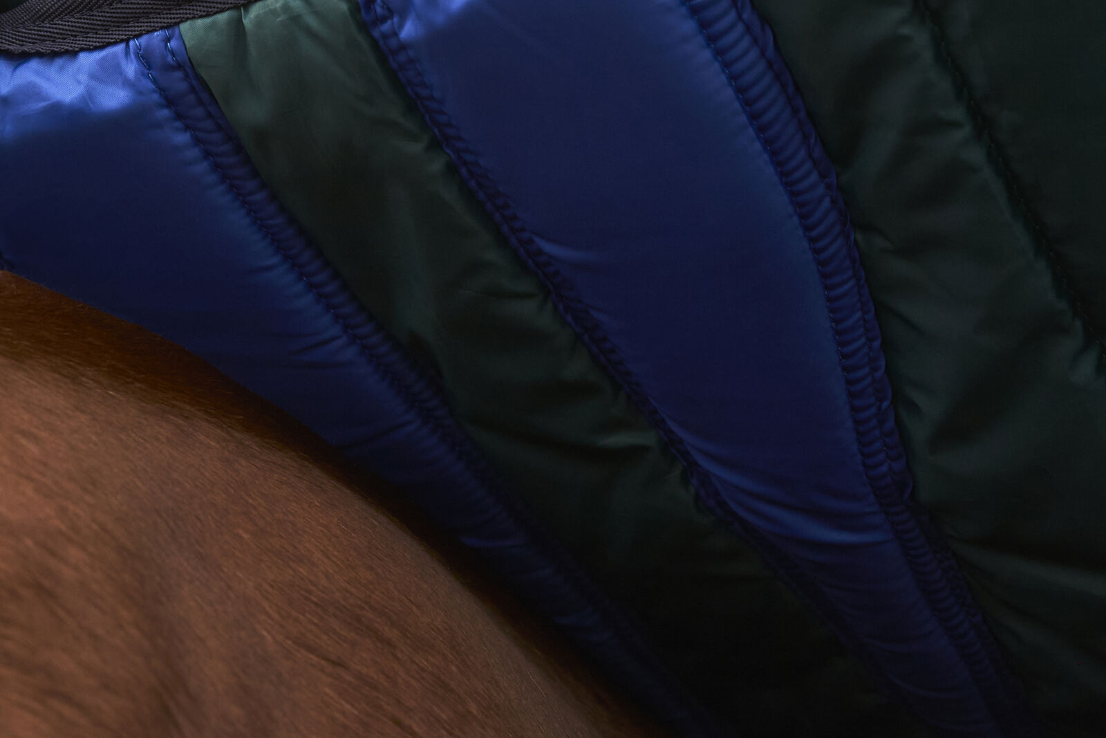 WEATHERBEETA COMFITEC PLUS DYNAMIC 0g HORSE TURNOUT RUG, STANDARD NECK, LIGHT