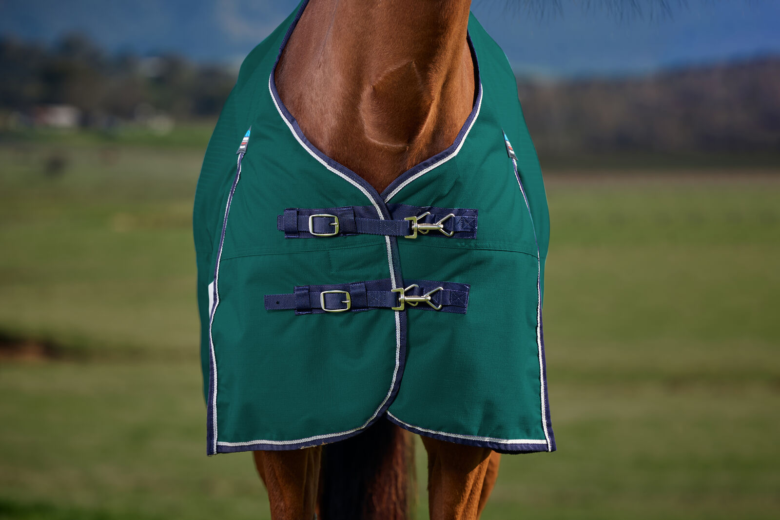 WEATHERBEETA COMFITEC PLUS DYNAMIC 0g HORSE TURNOUT RUG, STANDARD NECK, LIGHT