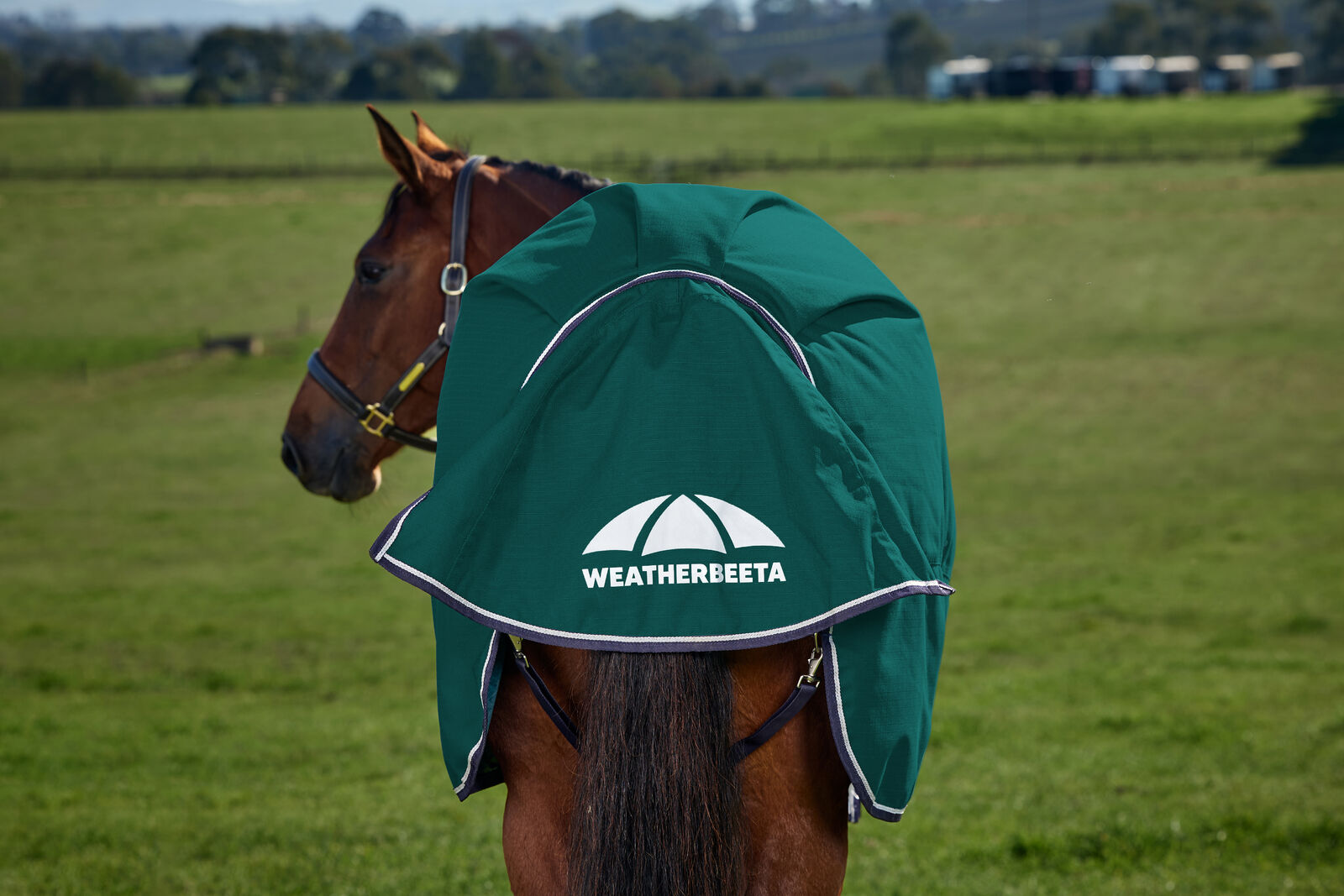 WEATHERBEETA COMFITEC PLUS DYNAMIC 0g HORSE TURNOUT RUG, STANDARD NECK, LIGHT