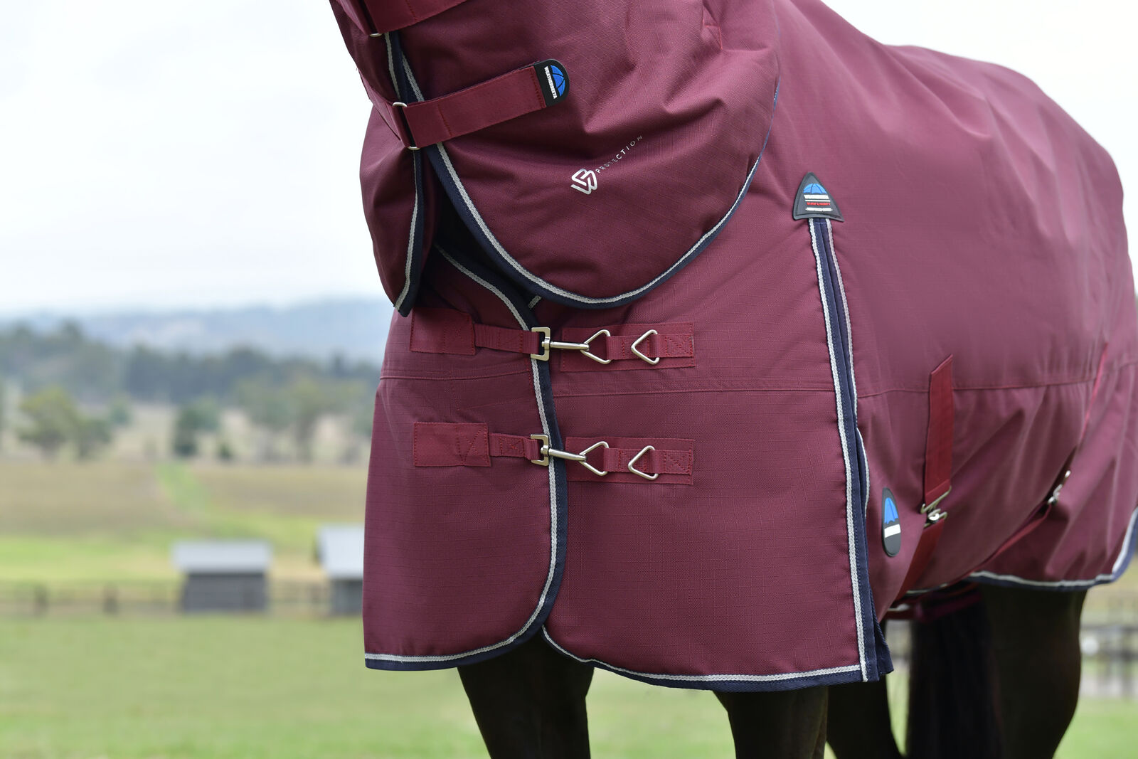 WEATHERBEETA COMFITEC ESSENTIAL 50g HORSE TURNOUT RUG, DETACH-A-NECK