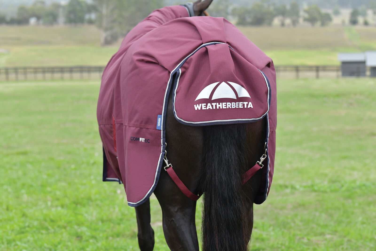 WEATHERBEETA COMFITEC ESSENTIAL 50g HORSE TURNOUT RUG, DETACH-A-NECK
