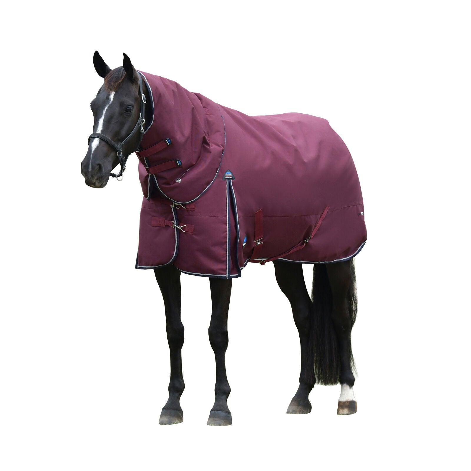 WEATHERBEETA COMFITEC ESSENTIAL 50g HORSE TURNOUT RUG, DETACH-A-NECK