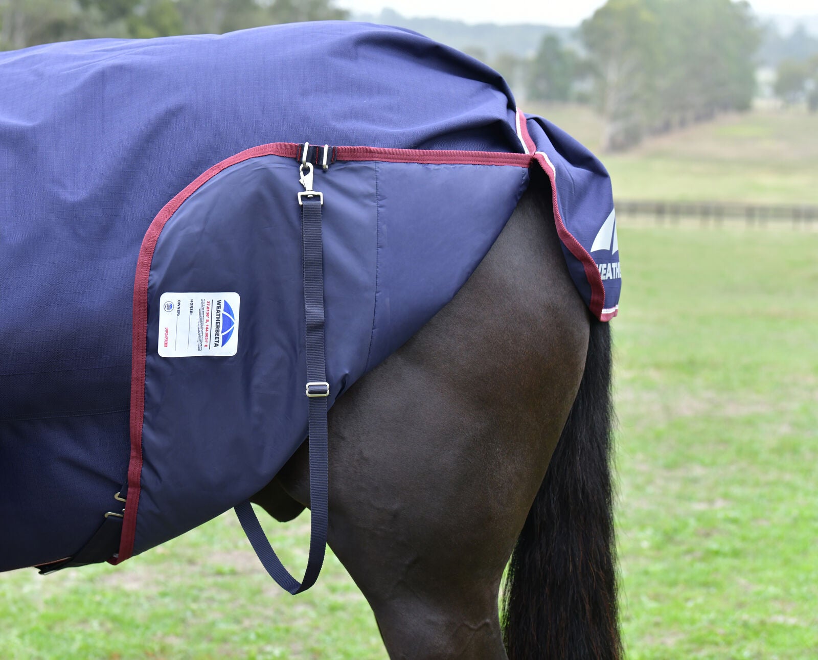 WEATHERBEETA COMFITEC ESSENTIAL 50g HORSE TURNOUT RUG, DETACH-A-NECK