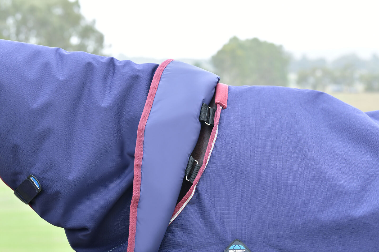WEATHERBEETA COMFITEC ESSENTIAL 50g HORSE TURNOUT RUG, DETACH-A-NECK
