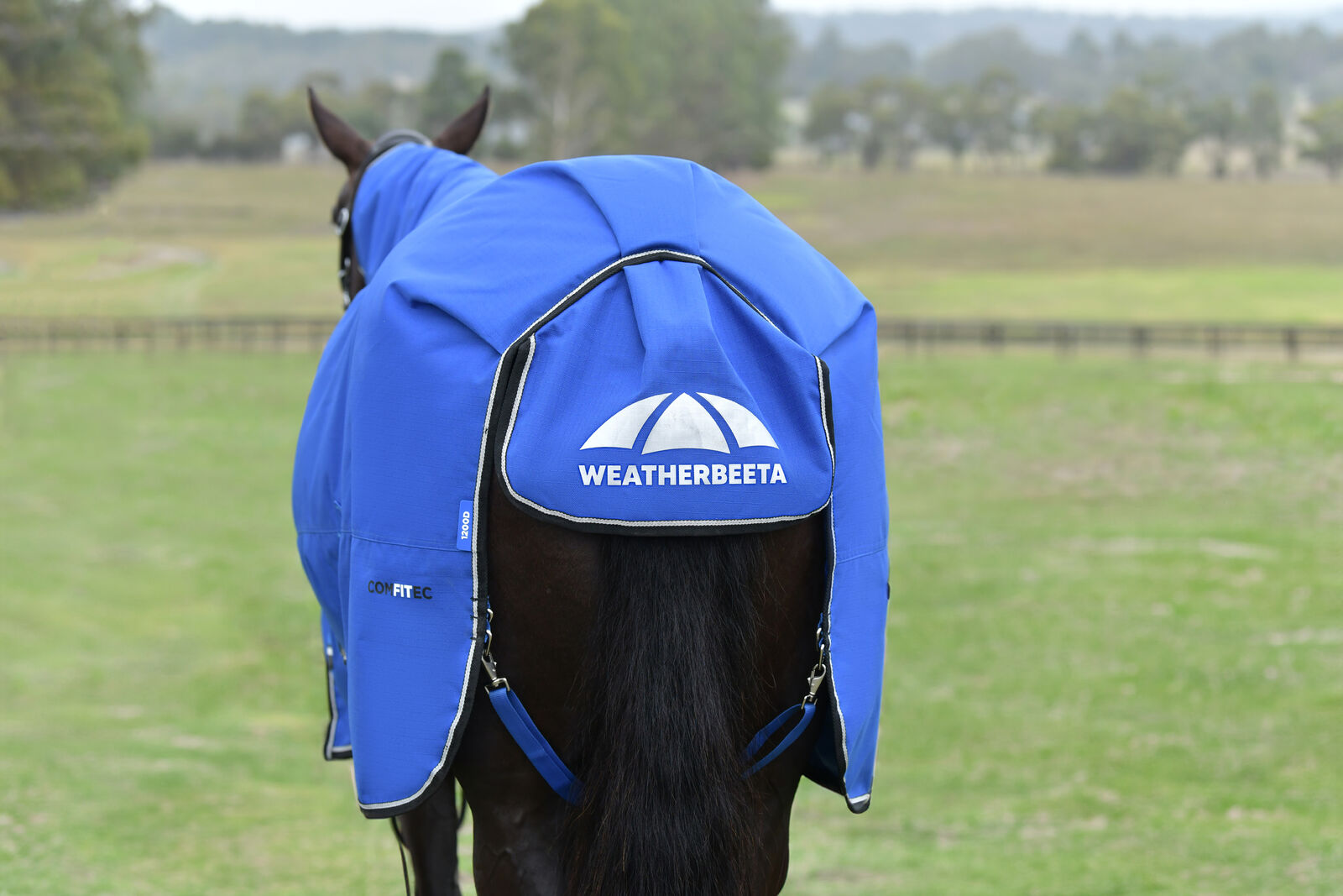 WEATHERBEETA COMFITEC ESSENTIAL 220G HORSE TURNOUT RUG, FULL NECK COMBO, 1200D