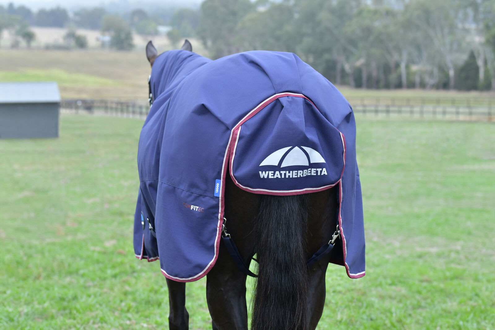 WEATHERBEETA COMFITEC ESSENTIAL 50G HORSE TURNOUT RUG, FULL NECK COMBO, 1200D