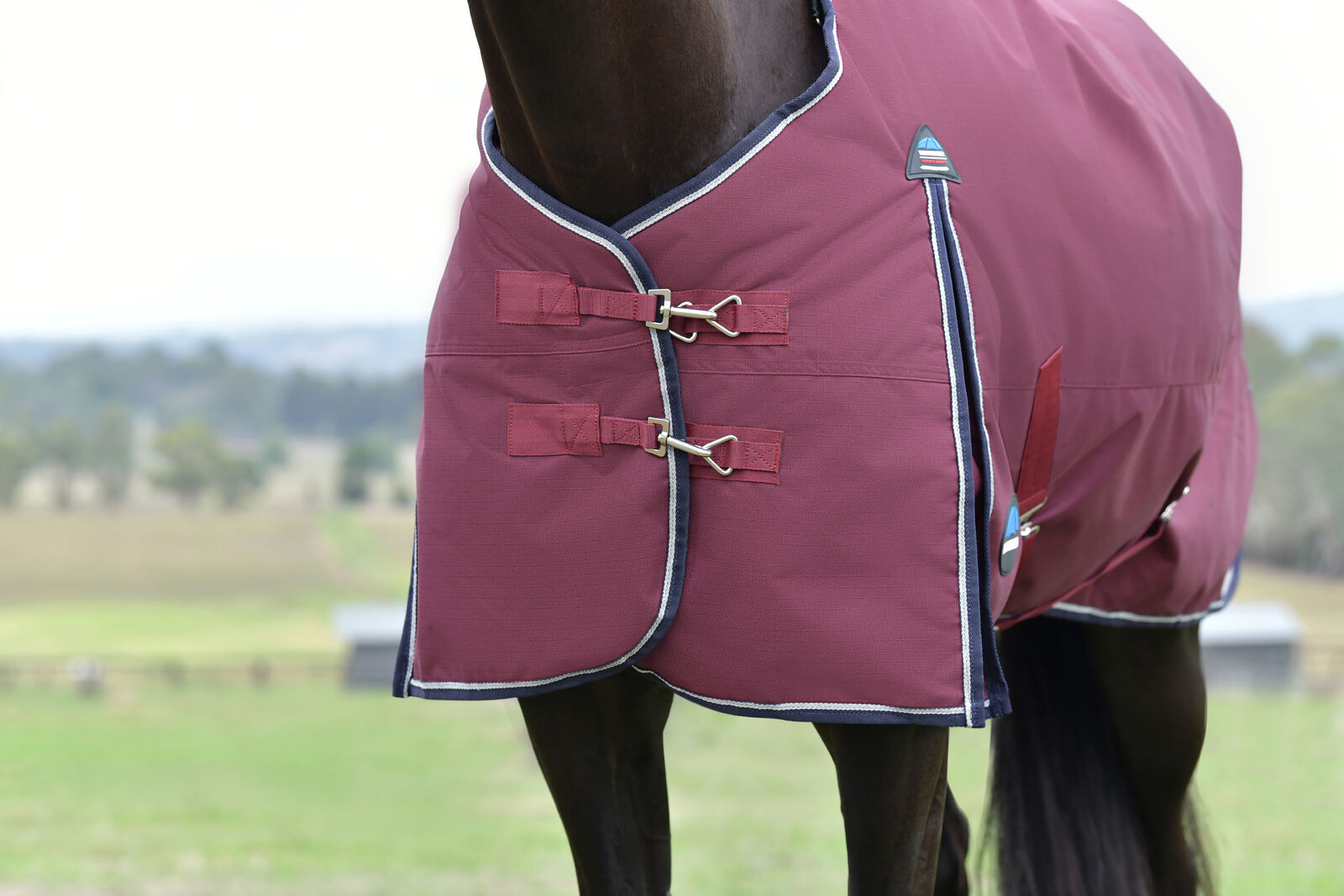 WEATHERBEETA COMFITEC ESSENTIAL 0G HORSE TURNOUT RUG, STANDARD NECK , 1200D