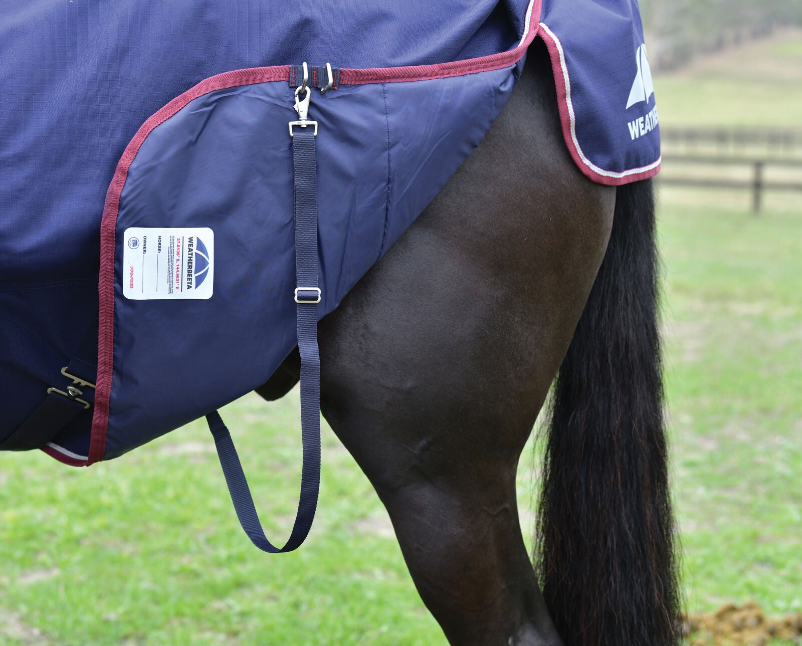 WEATHERBEETA COMFITEC ESSENTIAL 0G HORSE TURNOUT RUG, STANDARD NECK , 1200D