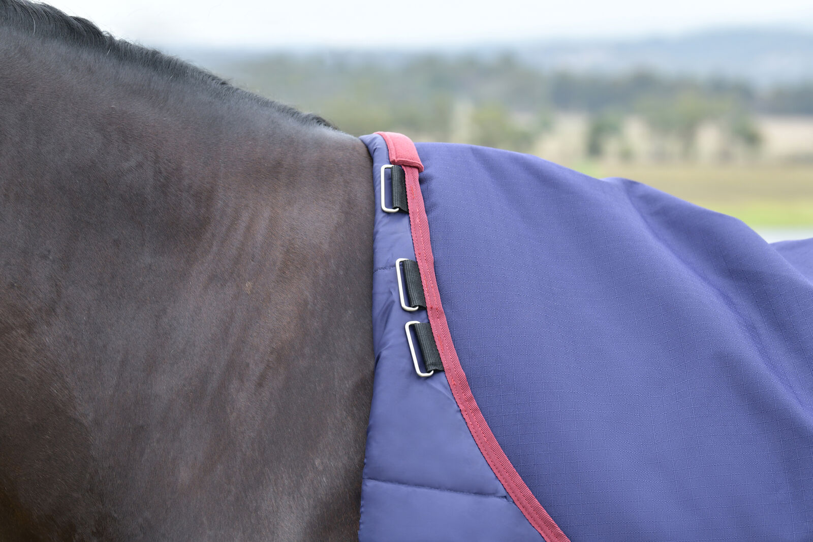 WEATHERBEETA COMFITEC ESSENTIAL 0G HORSE TURNOUT RUG, STANDARD NECK , 1200D