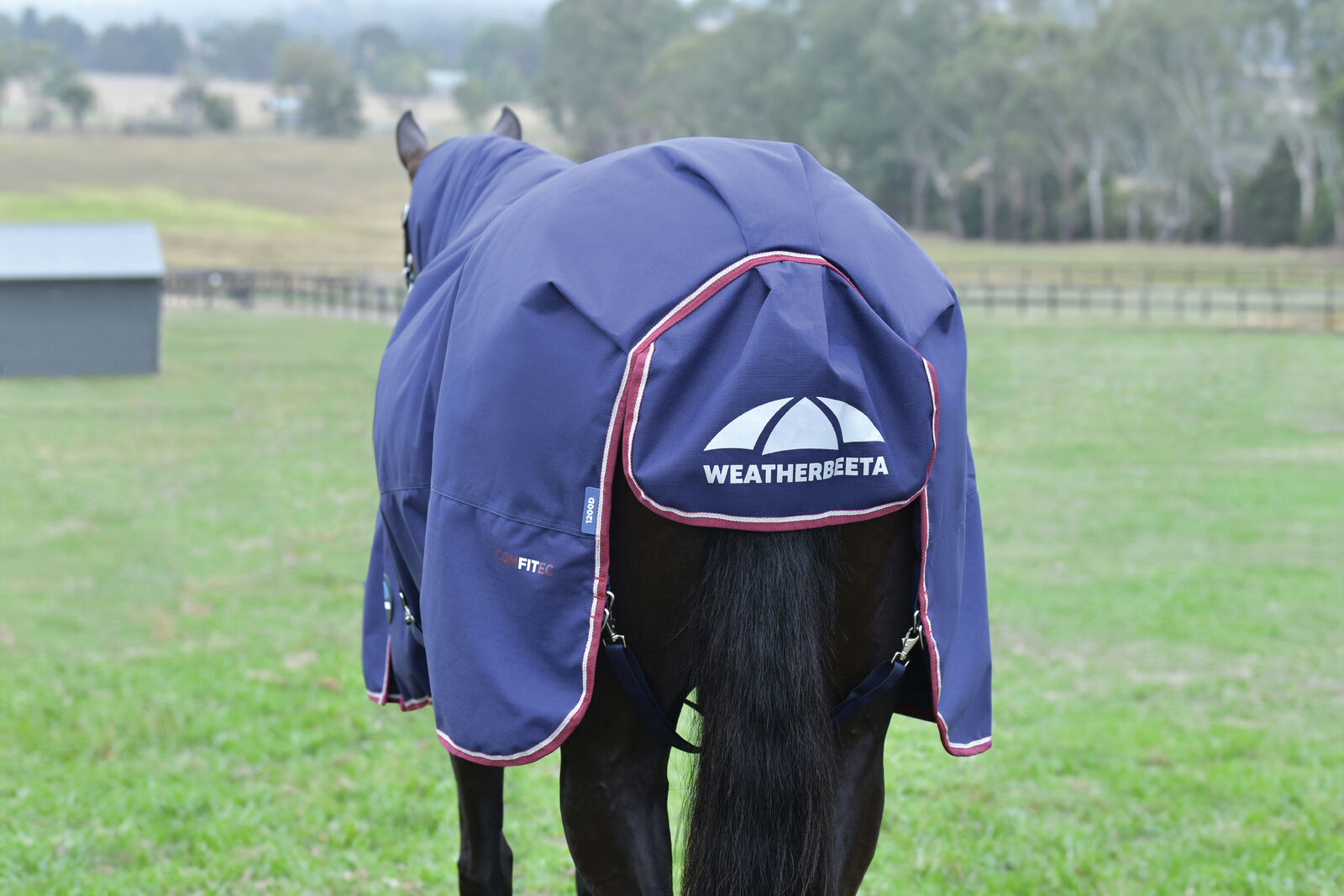 WEATHERBEETA COMFITEC ESSENTIAL 0G HORSE TURNOUT RUG, STANDARD NECK , 1200D