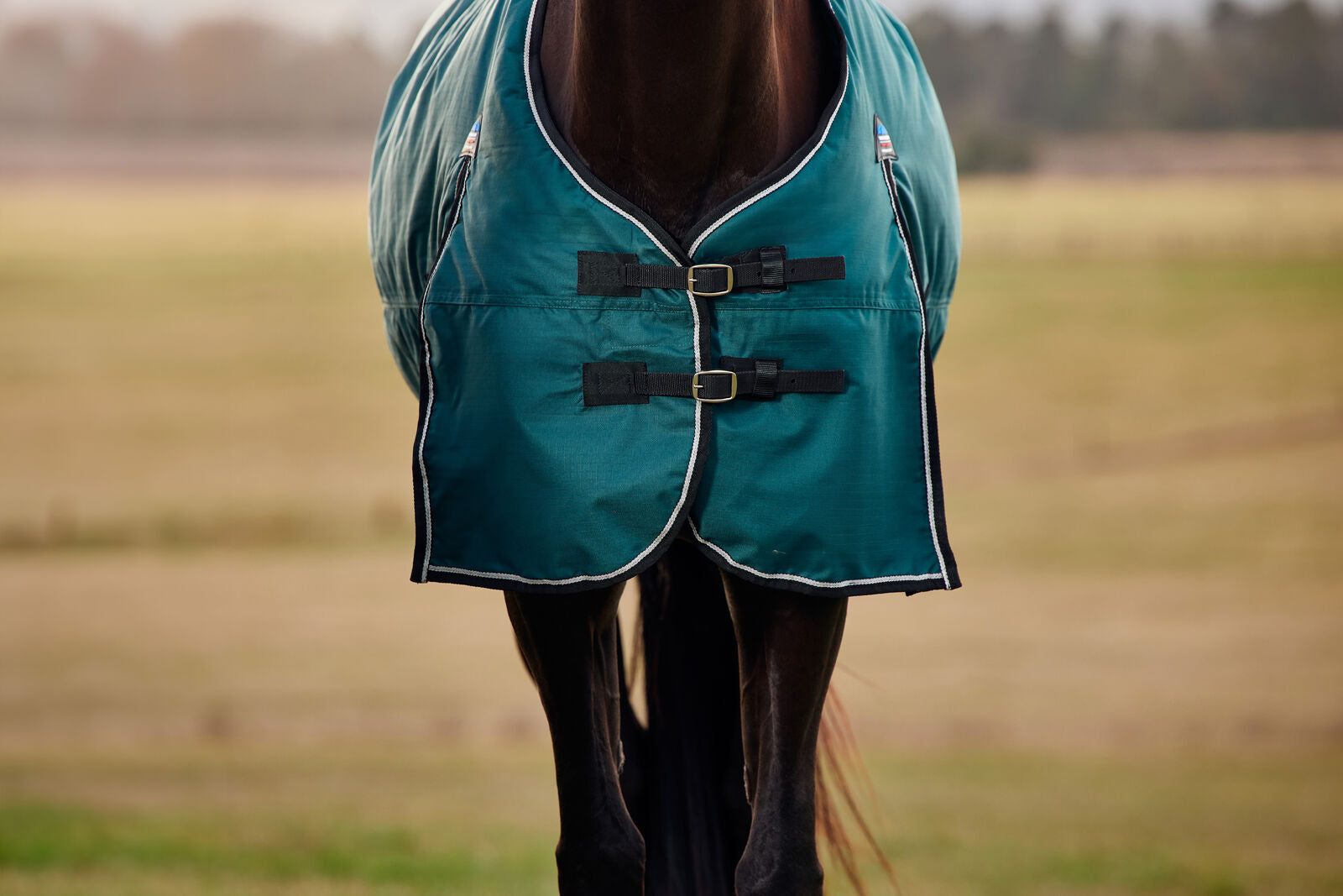 WEATHERBEETA COMFITEC CLASSIC 50G HORSE TURNOUT RUG, STANDARD NECK.