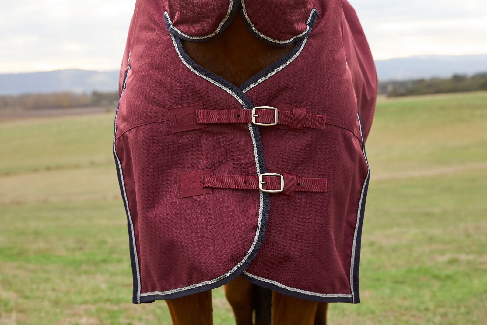 WEATHERBEETA COMFITEC PRELIM 0G HORSE TURNOUT RUG, FULL NECK COMBO, LIGHTWEIGHT