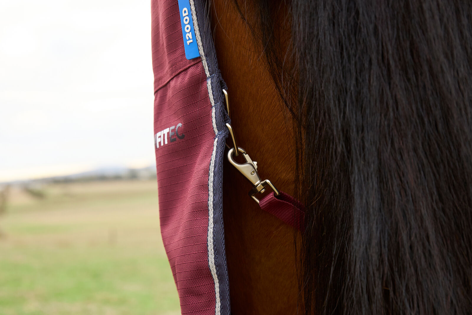 WEATHERBEETA COMFITEC PRELIM 0G HORSE TURNOUT RUG, FULL NECK COMBO, LIGHTWEIGHT