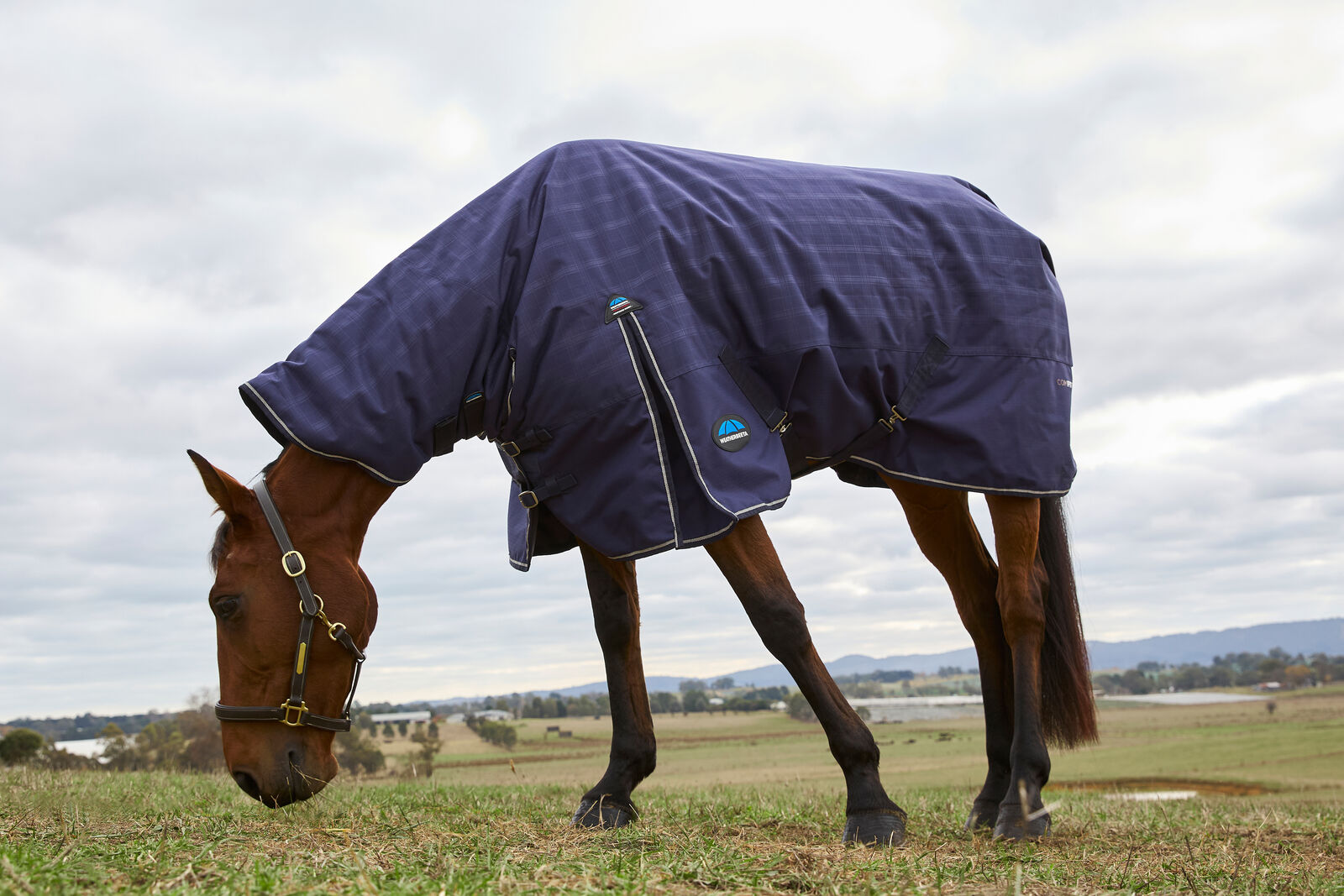 WEATHERBEETA COMFITEC PRELIM 220G HORSE TURNOUT RUG, FULL NECK COMBO