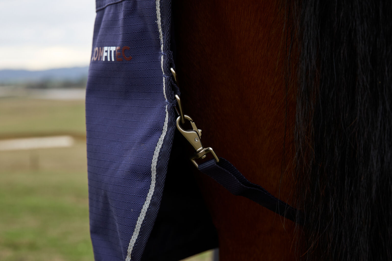 WEATHERBEETA COMFITEC PRELIM 220G HORSE TURNOUT RUG, FULL NECK COMBO