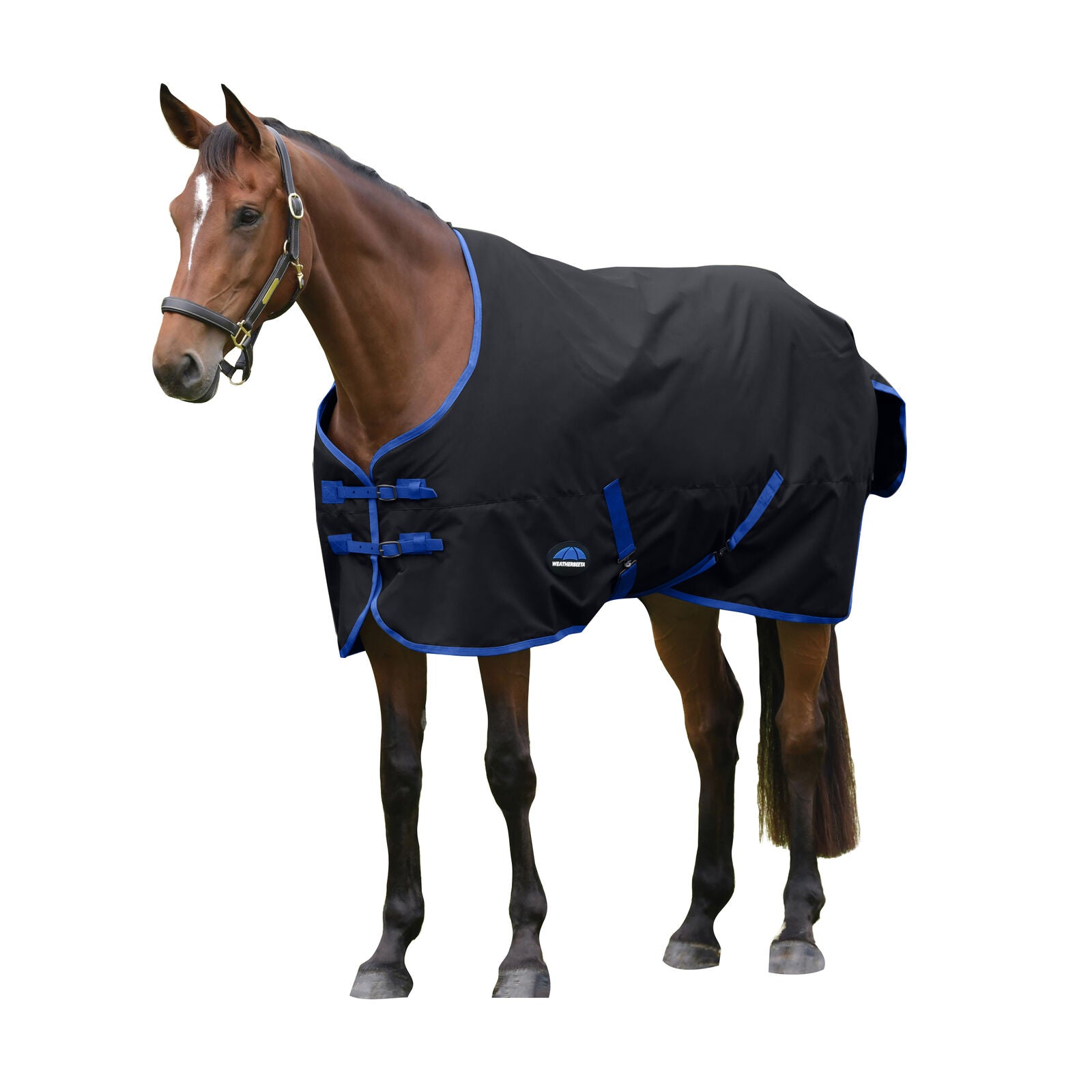 WEATHERBEETA COMFITEC TYRO 220G HORSE TURNOUT RUG, STANDARD NECK, MEDIUMWEIGHT