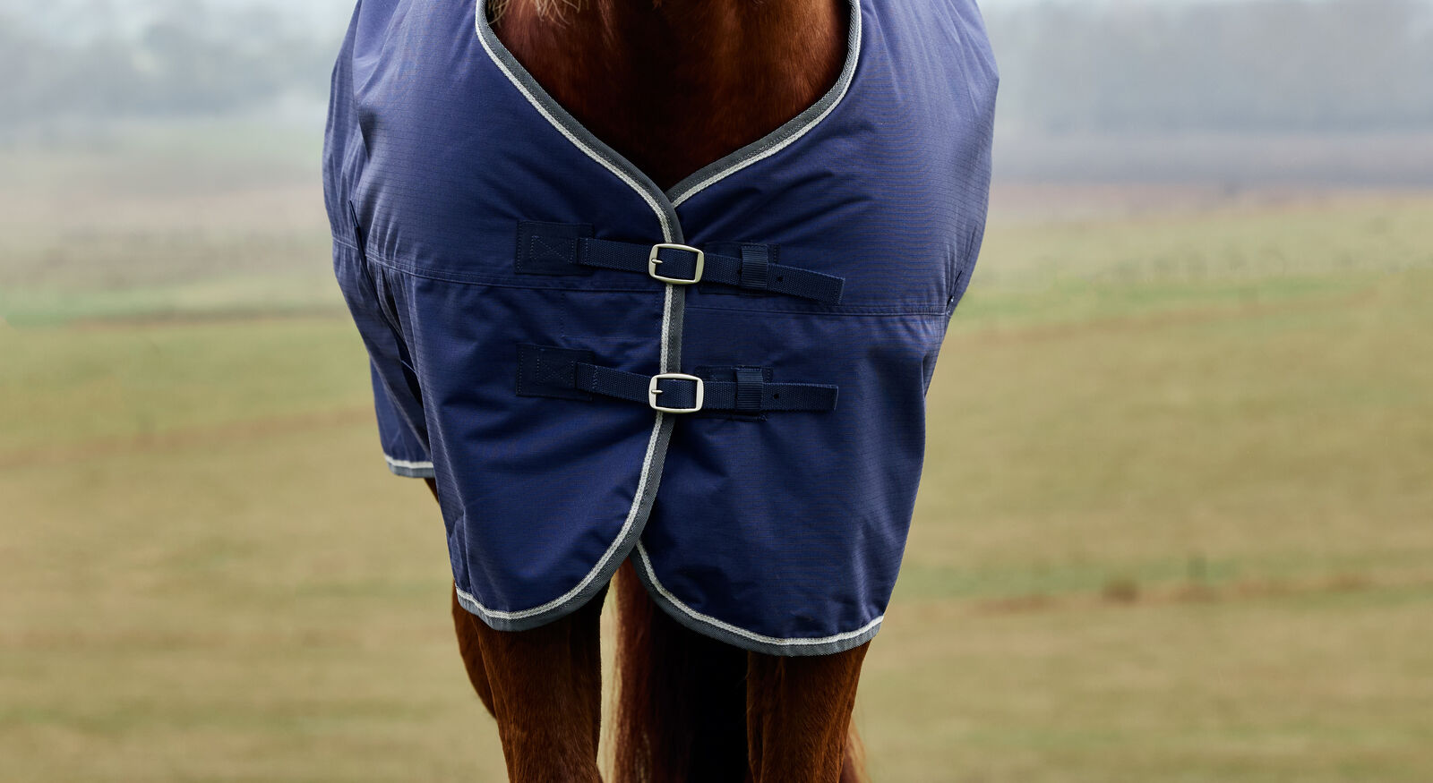 WEATHERBEETA COMFITEC TYRO 50G HORSE TURNOUT RUG, STANDARD NECK, LIGHTWEIGHT