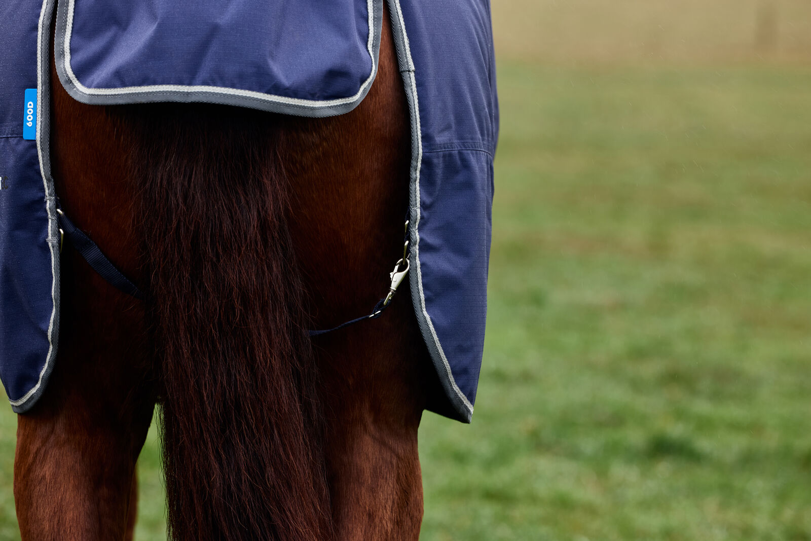 WEATHERBEETA COMFITEC TYRO 50G HORSE TURNOUT RUG, STANDARD NECK, LIGHTWEIGHT