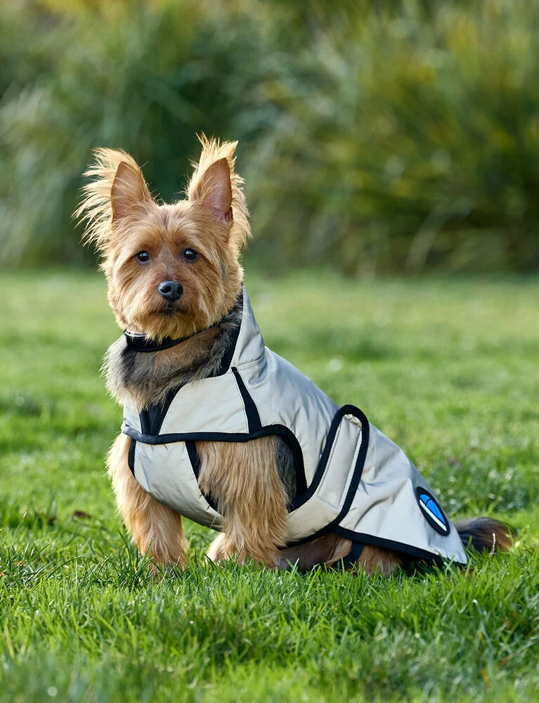 Weatherbeeta Comfitec Reflective Showerproof Dog Coat, Silver, 11 Sizes.