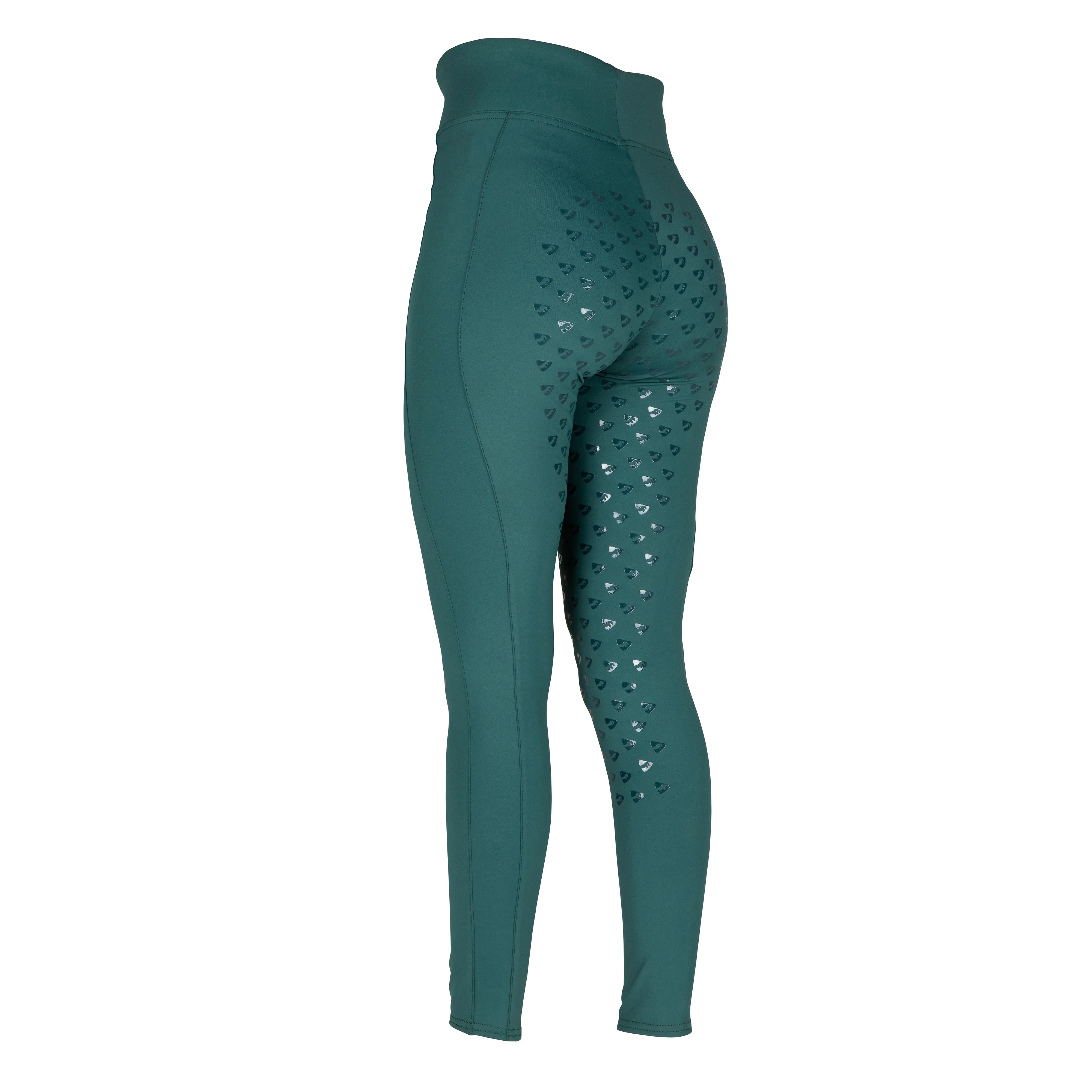 Shires Aubrion Ladies Eltar Horse Riding Tights,  Womens,  6 Colour Options