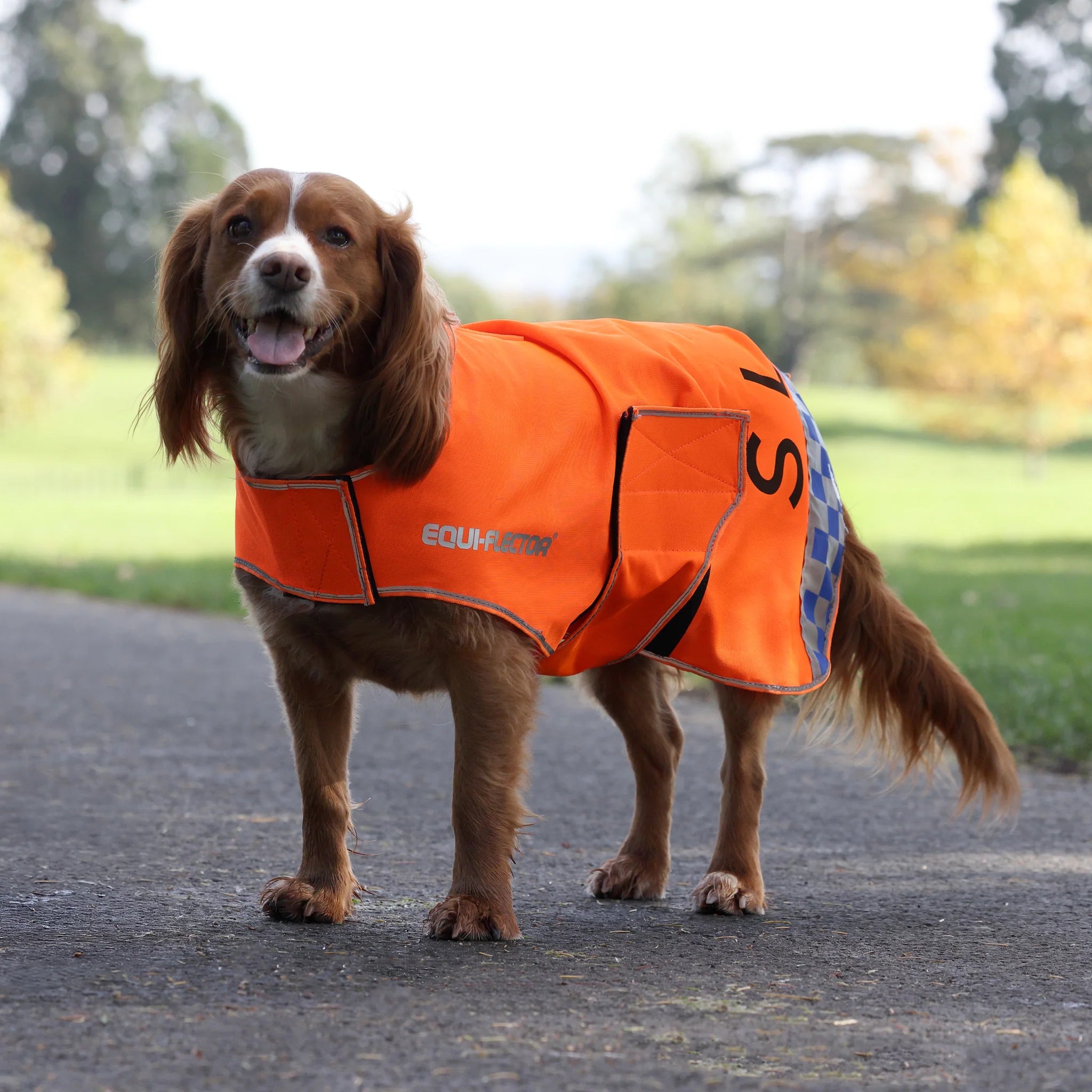 Equi-Flector Reflective Mesh Dog Coat, 2 Colours, 9 Sizes